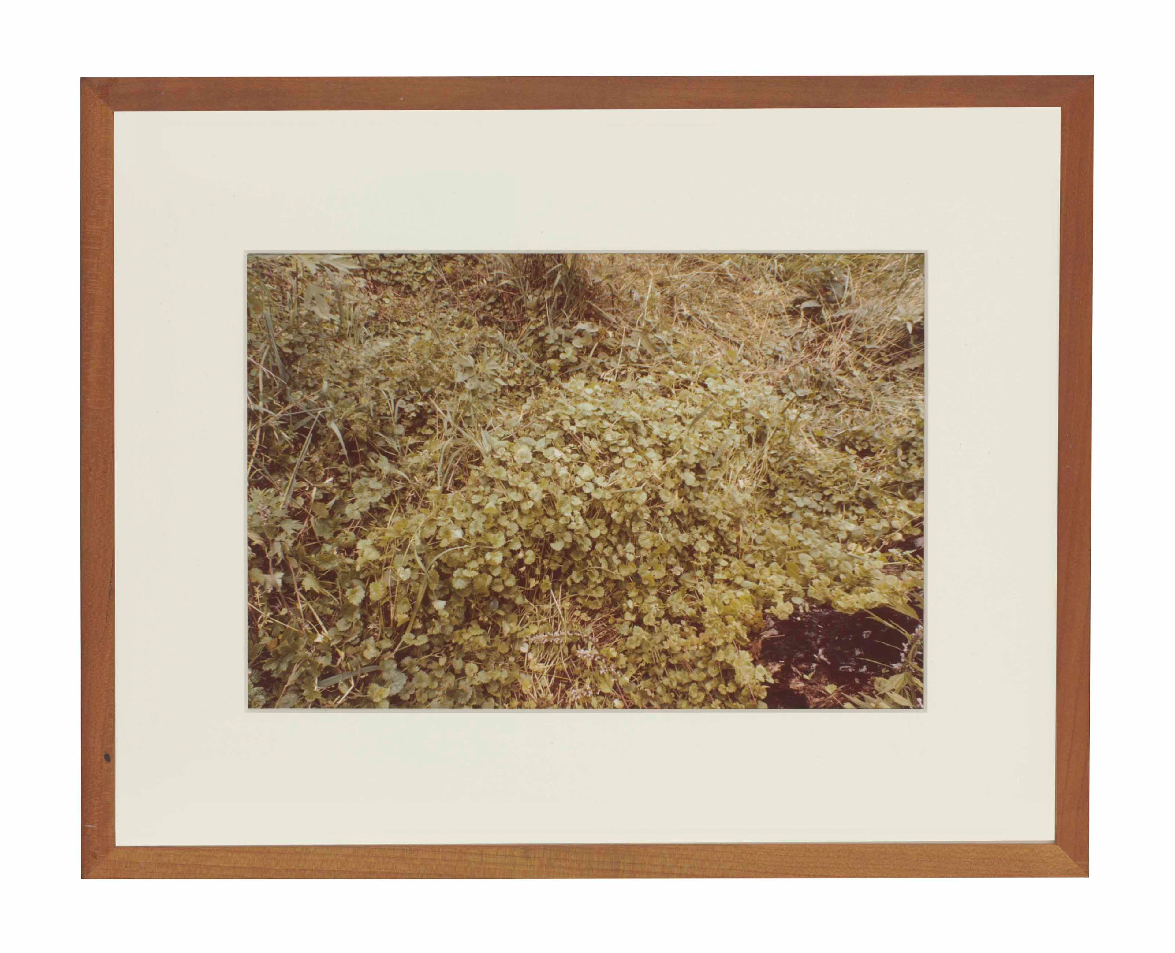 Untitled, from Silueta Series, Iowa, 1979