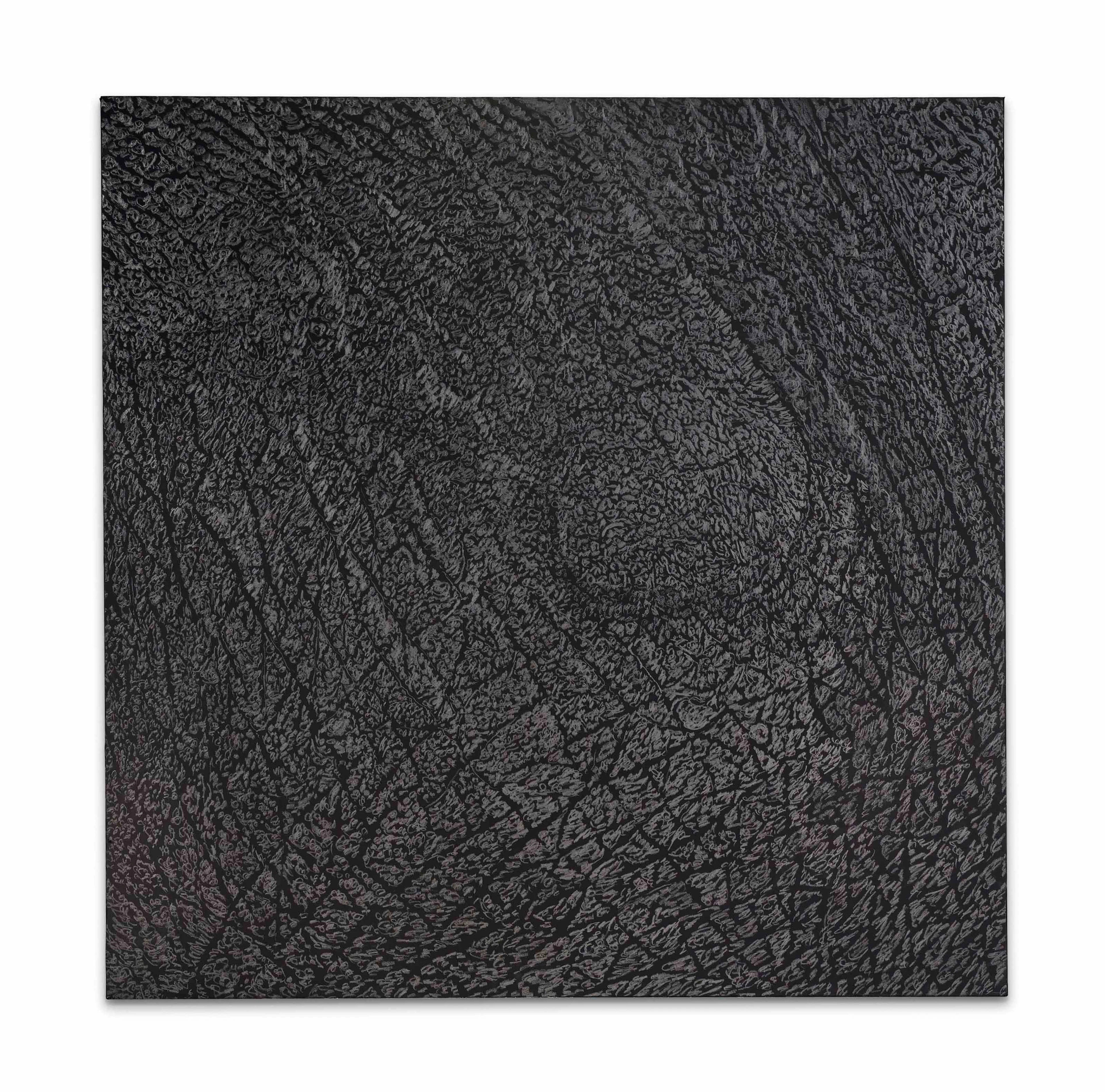 Pelle di grafite - riflesso di alurgite (Skin of graphite - reflection...