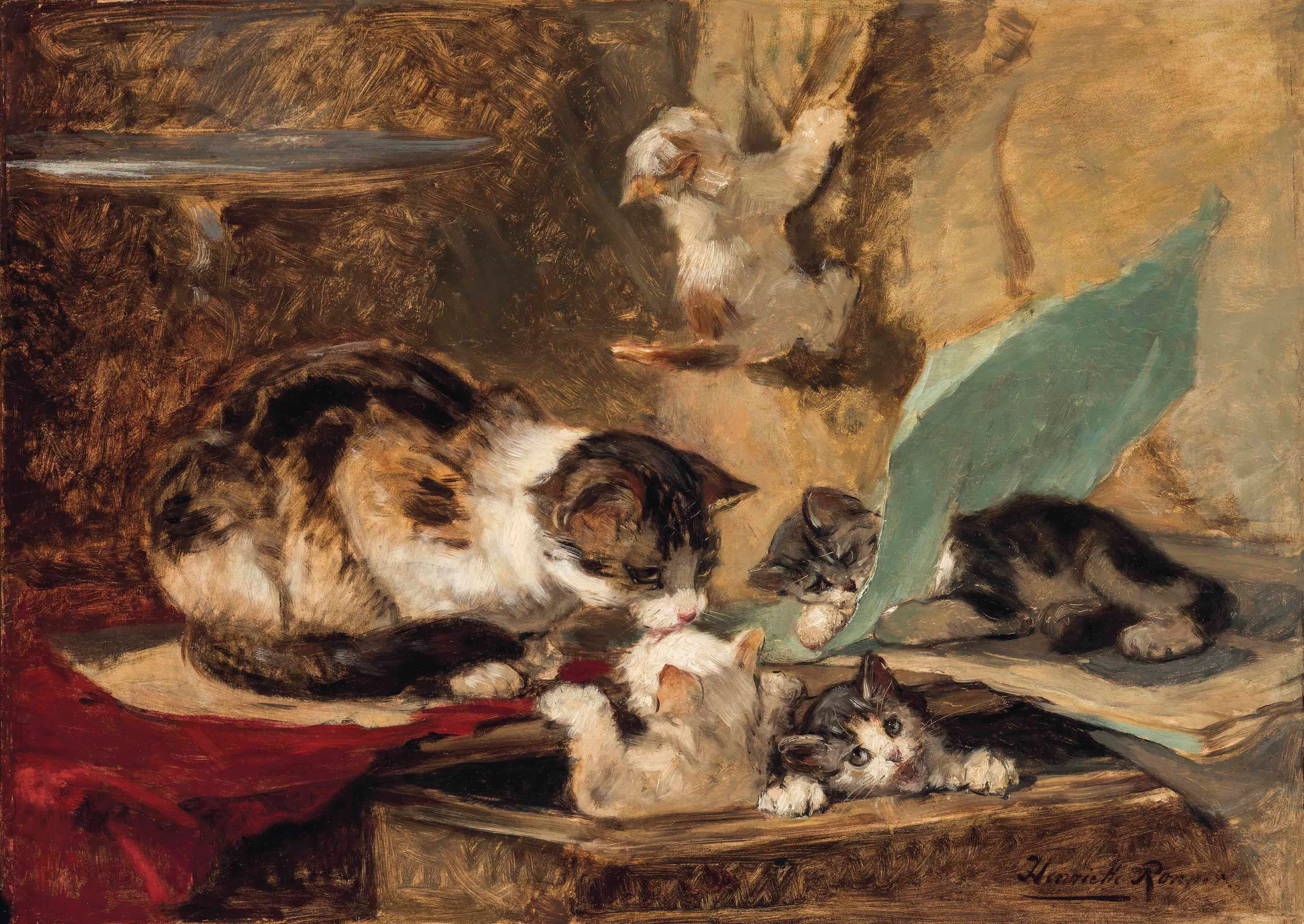 Kittens at play