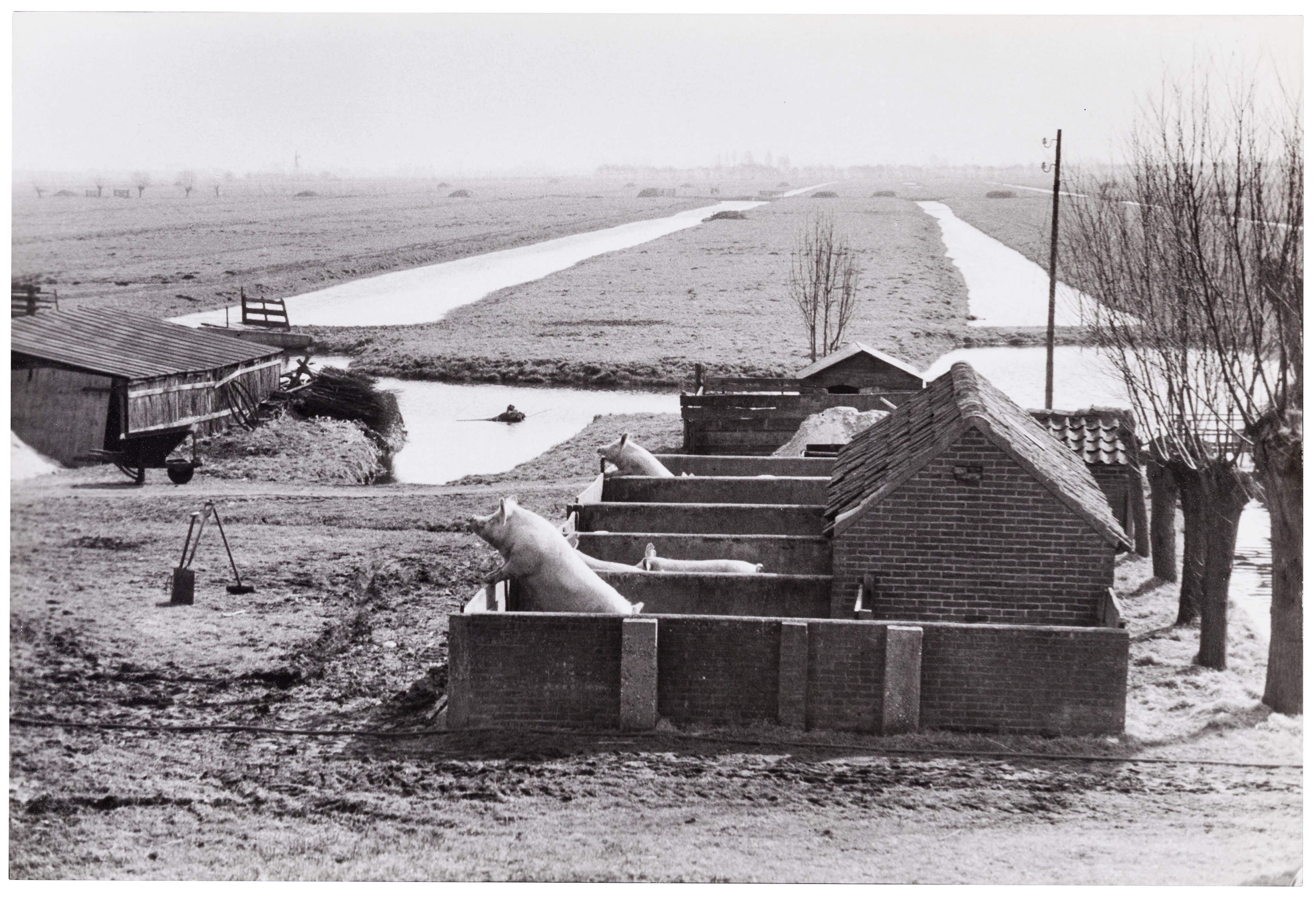 HENRI CARTIER–BRESSON (1908–2004)