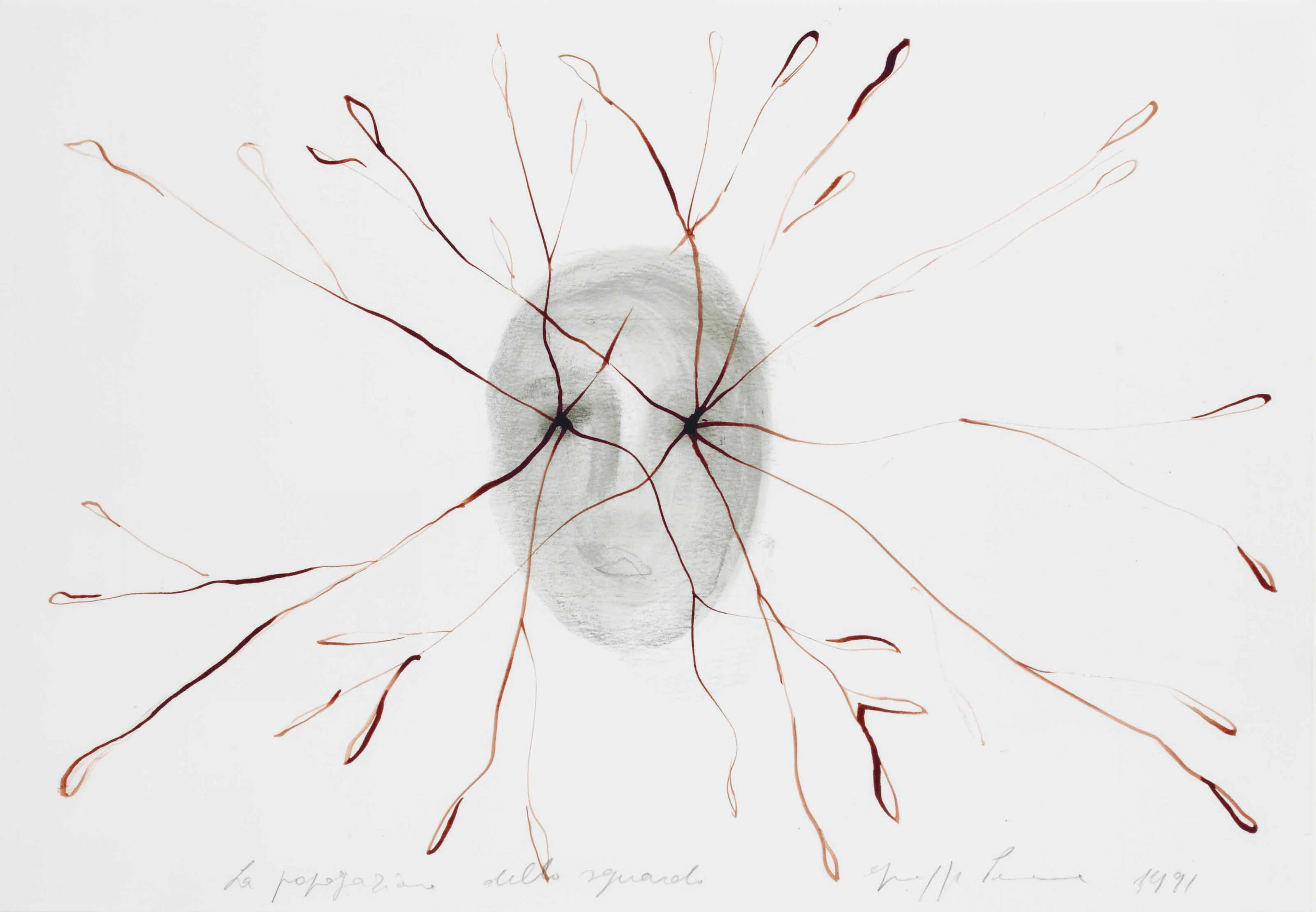 La propagazione dello sguardo (Propagation of the Glance)