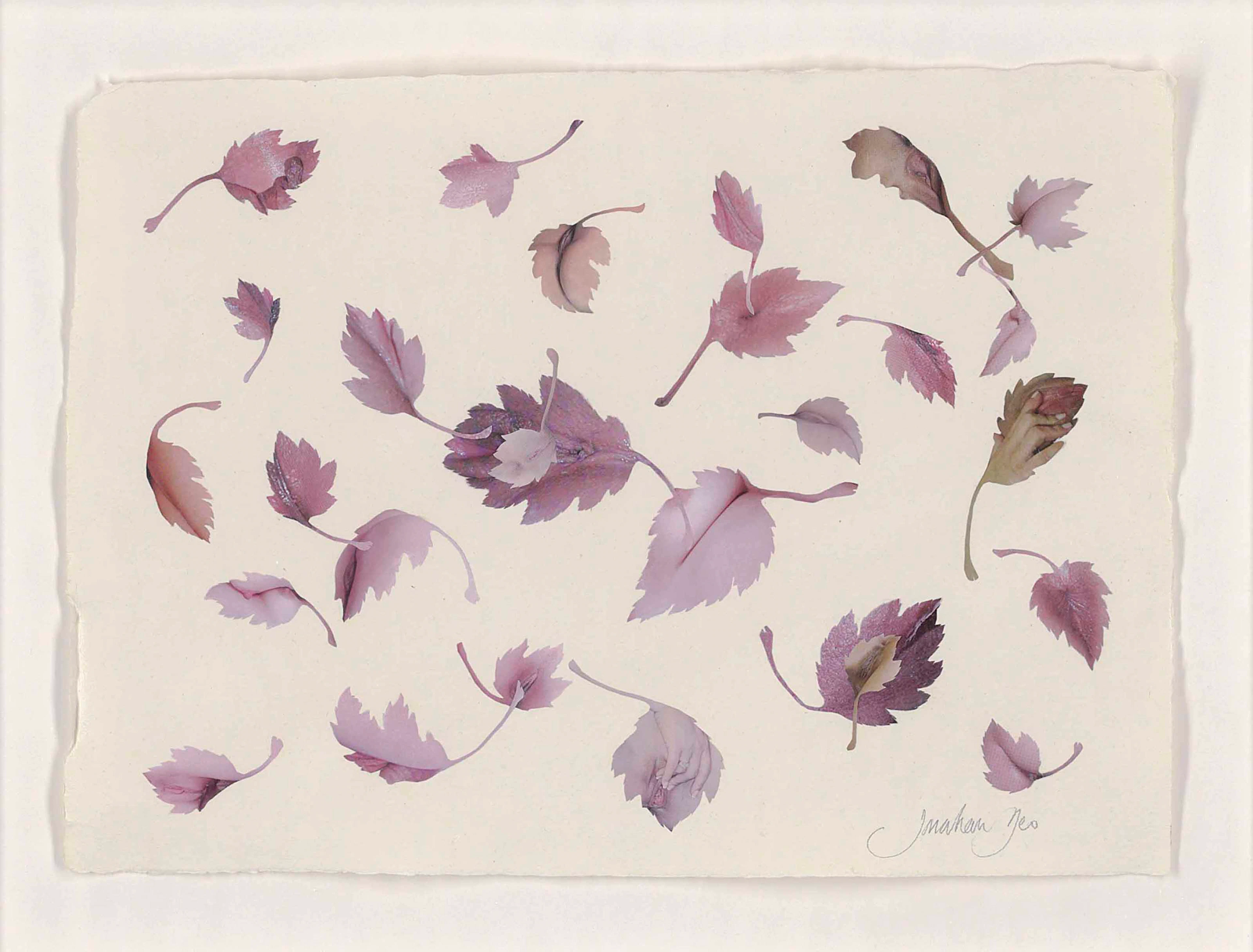 Leaves