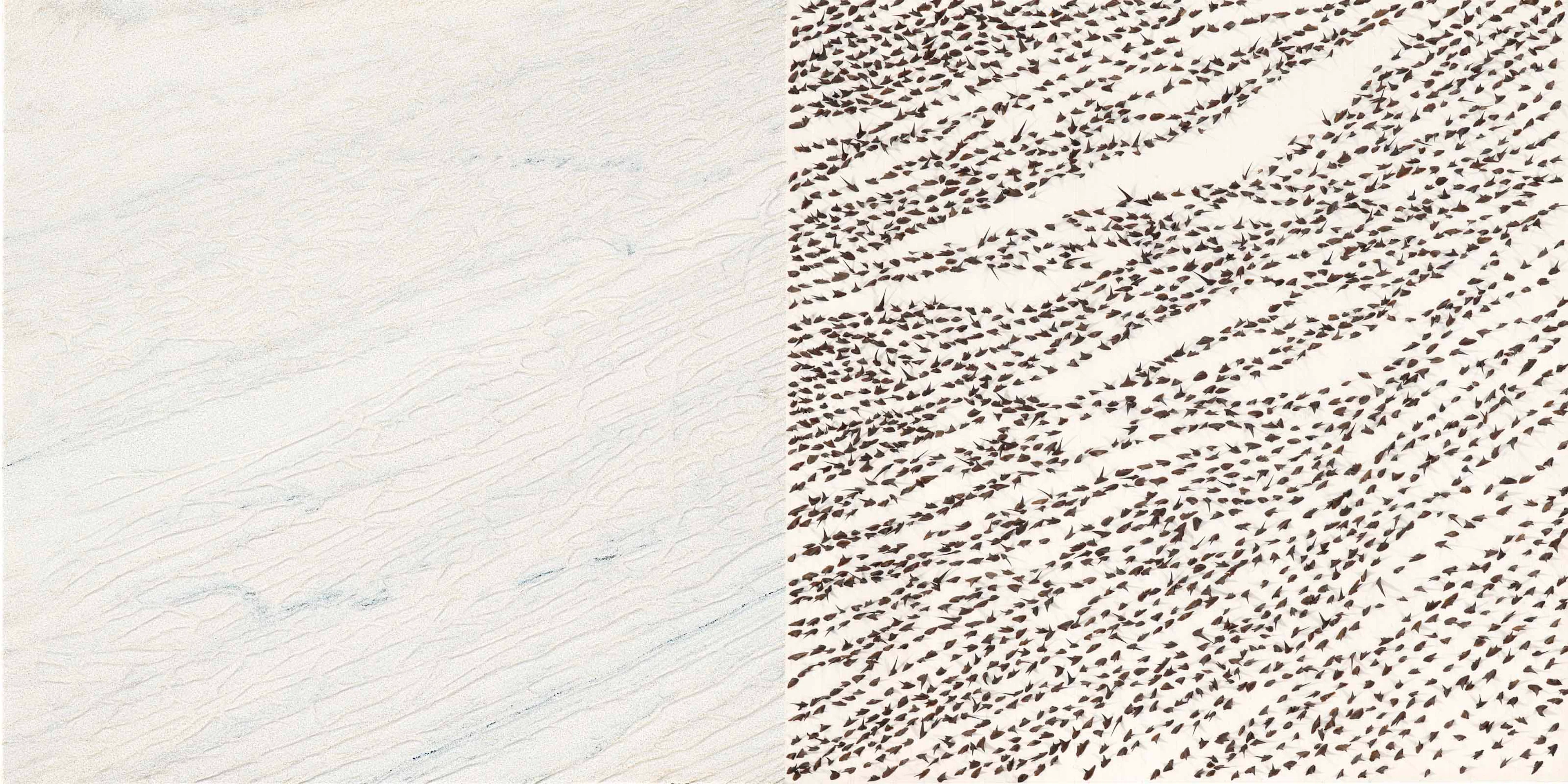 Giuseppe Penone (b. 1947) Pelle di Marmo e Spine d'acacia...