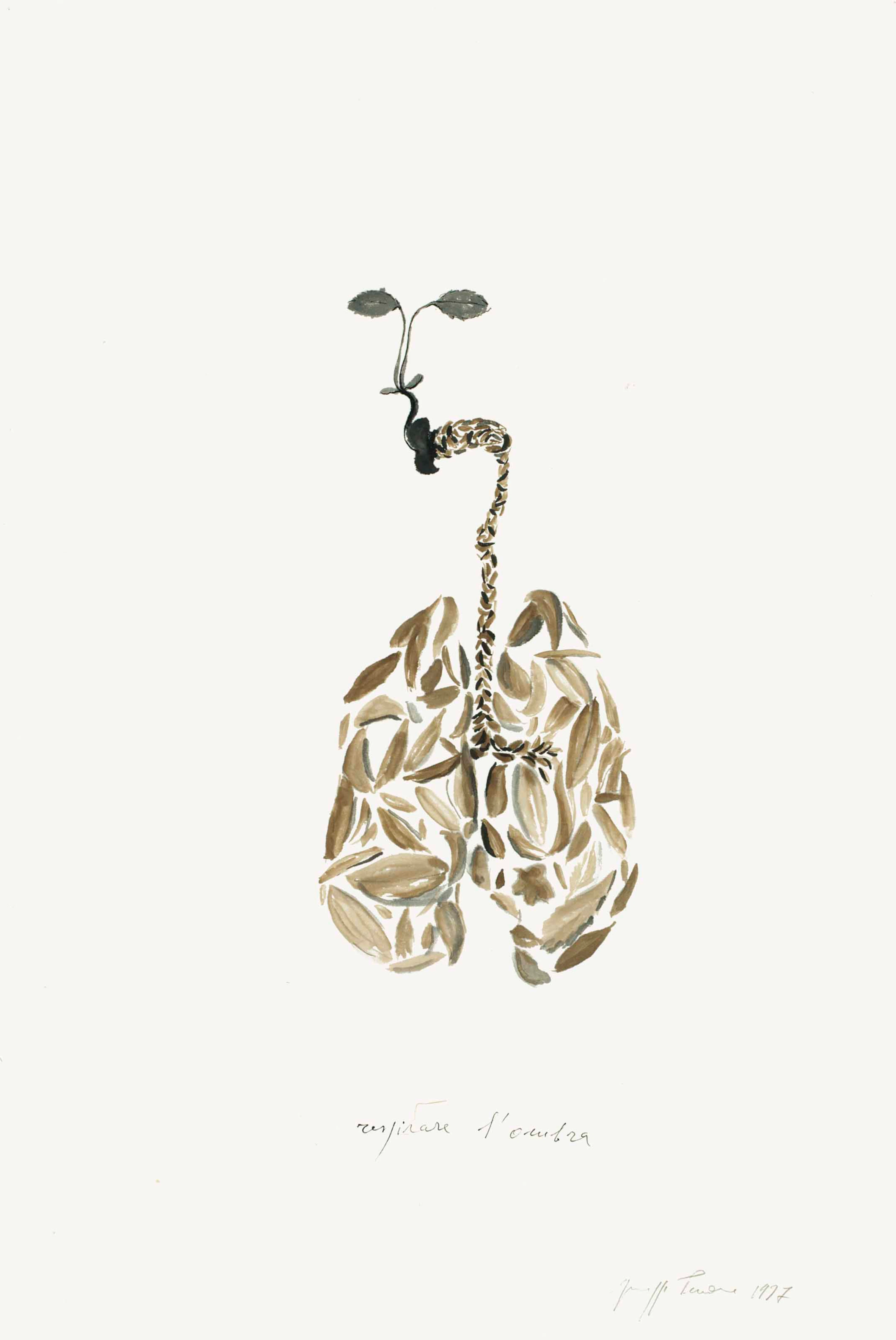 Giuseppe Penone (B. 1947) Respirare L'Ombra (To Breathe t...