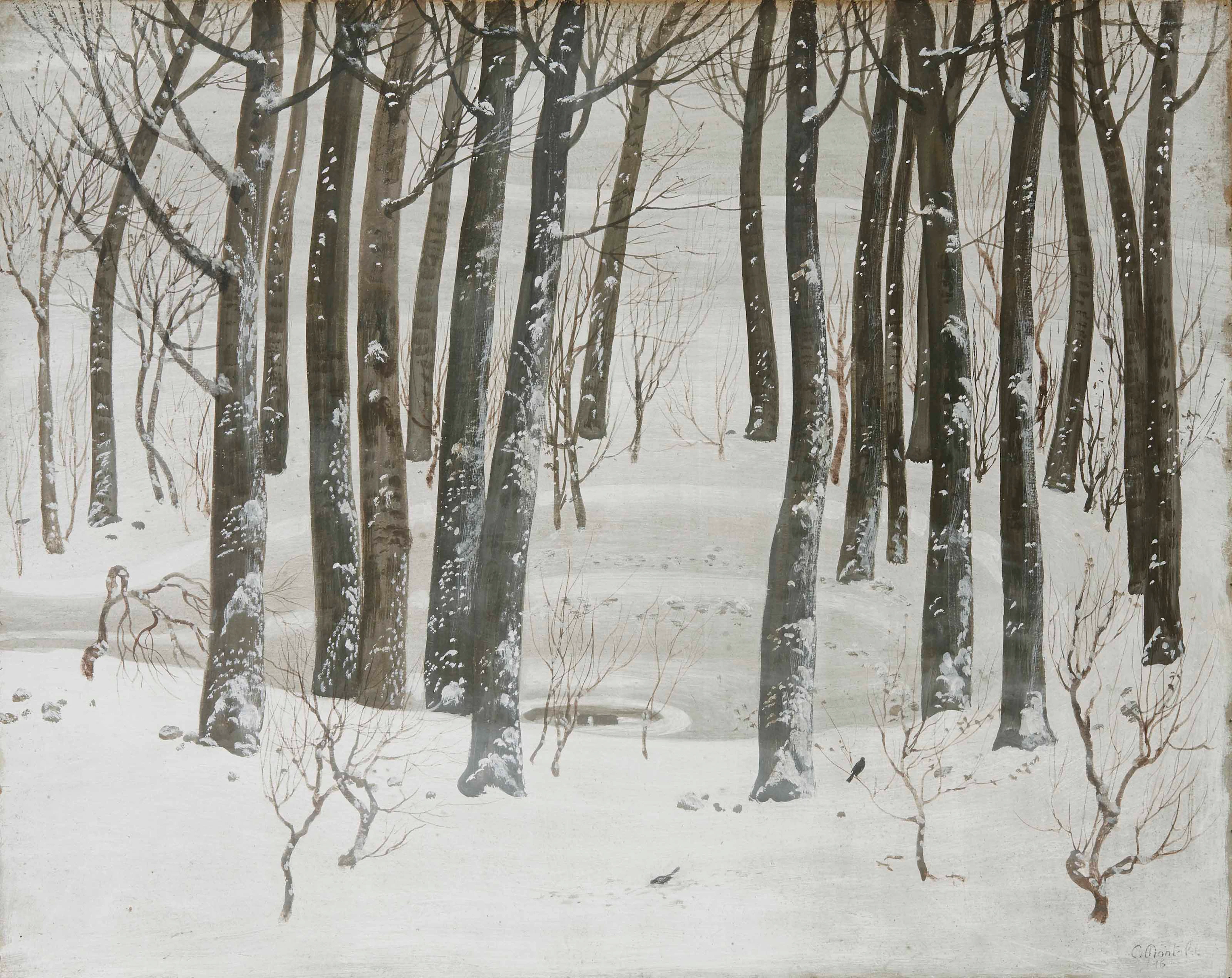 Jardin sous la neige