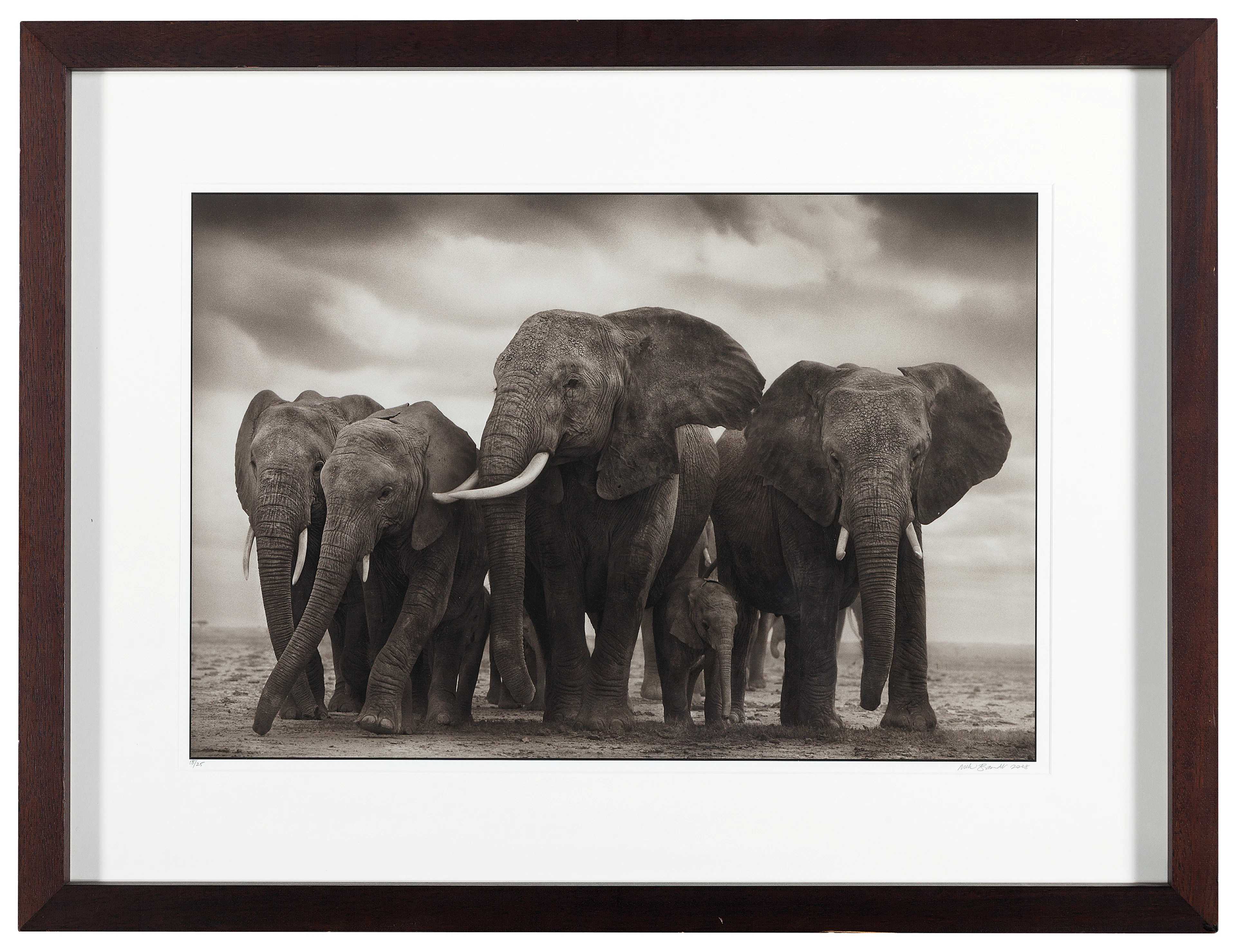 NICK BRANDT (B. 1966)