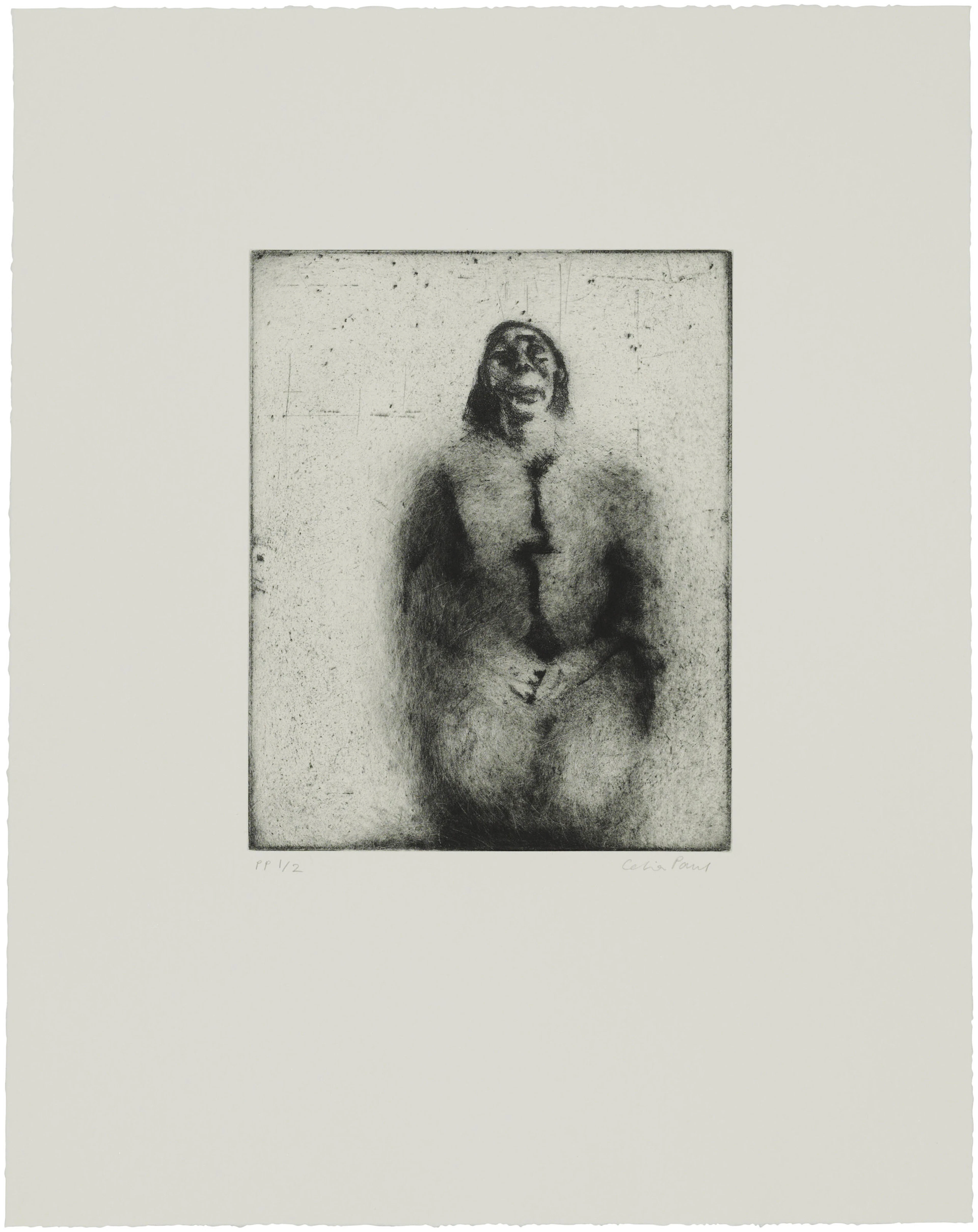 CELIA PAUL (B. 1959)