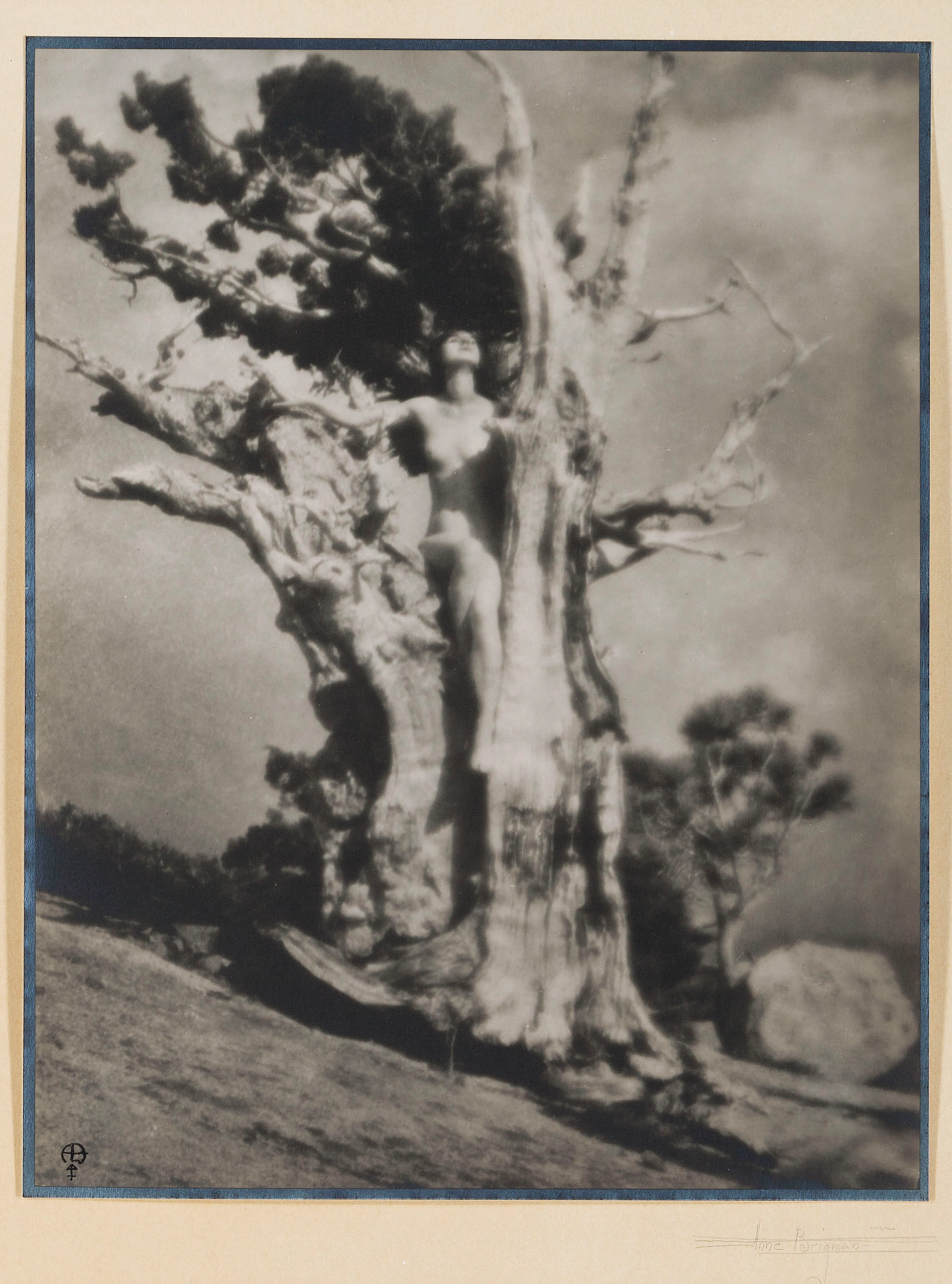ANNE BRIGMAN (1869–1950) Invictus, c. 1924
