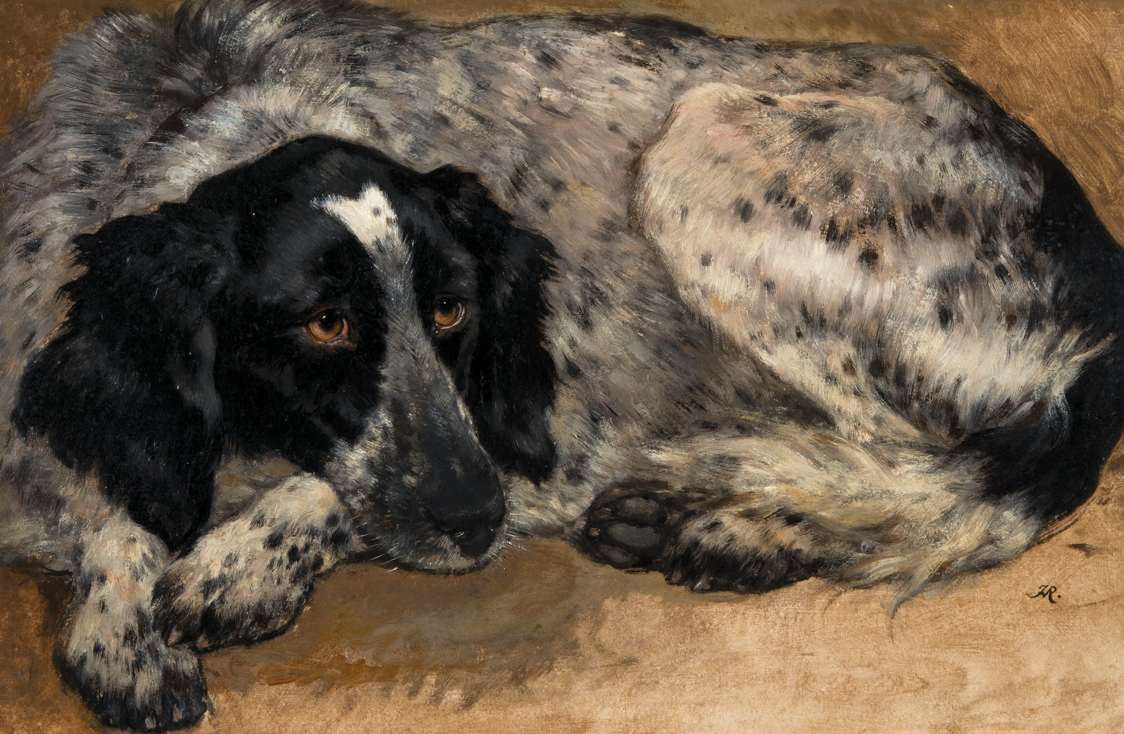 A reclining Spaniel