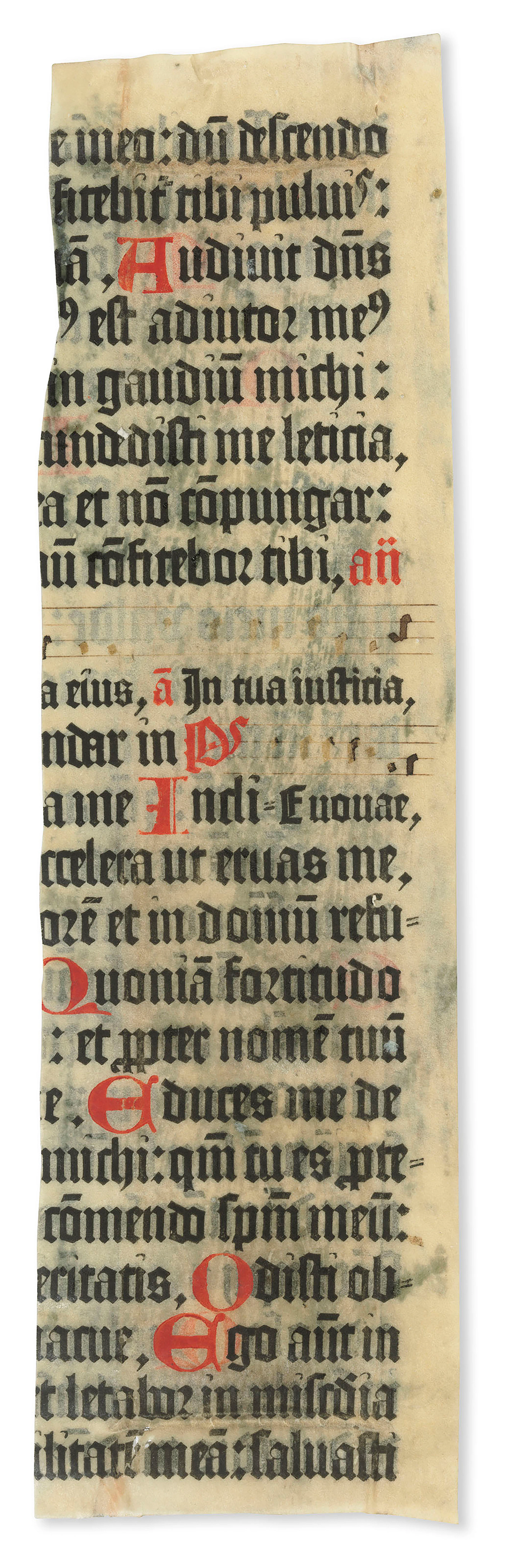 The Mainz Psalter: Psalterium Benedictinum cum canticis et hymnis