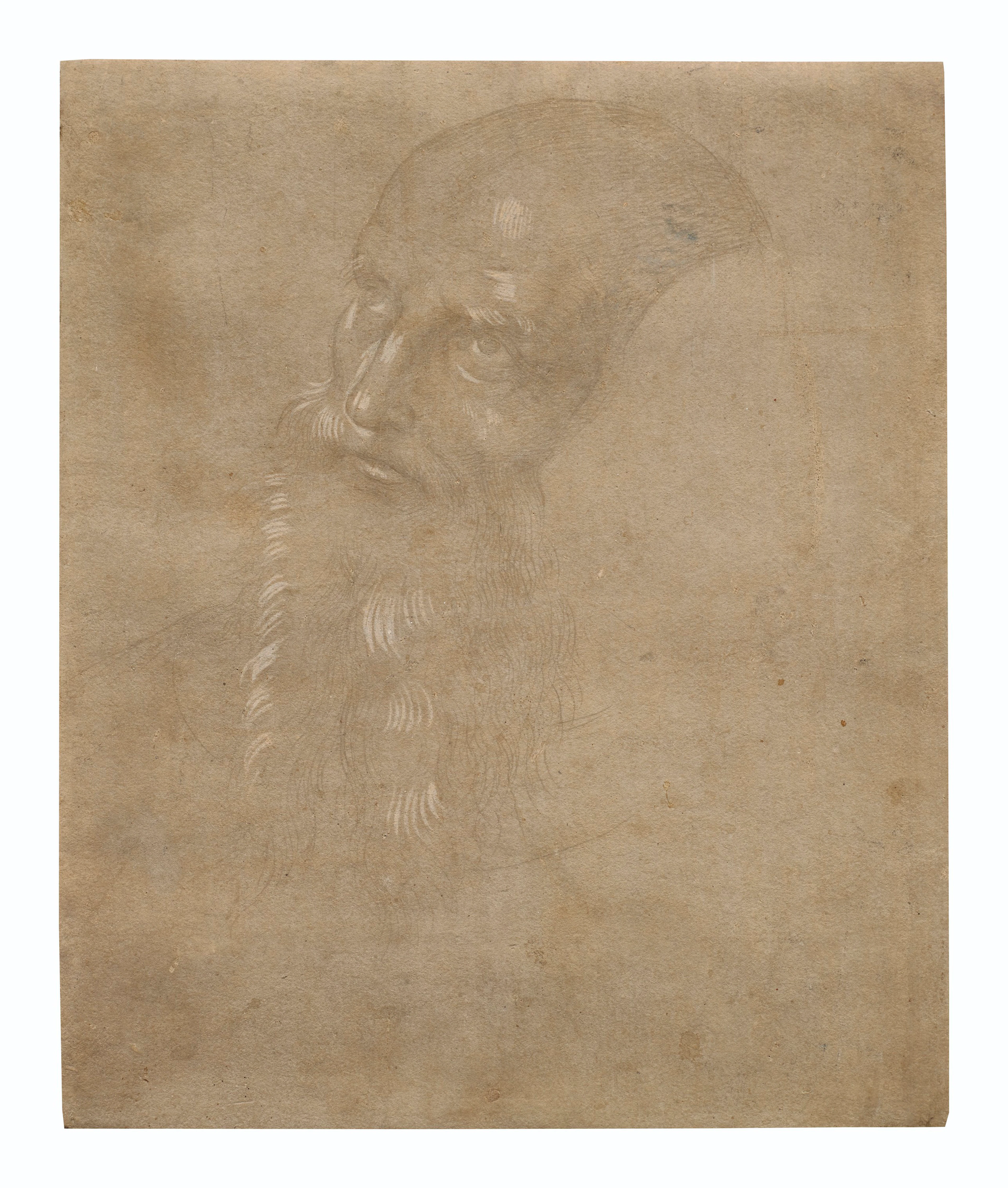 Head of a bearded man