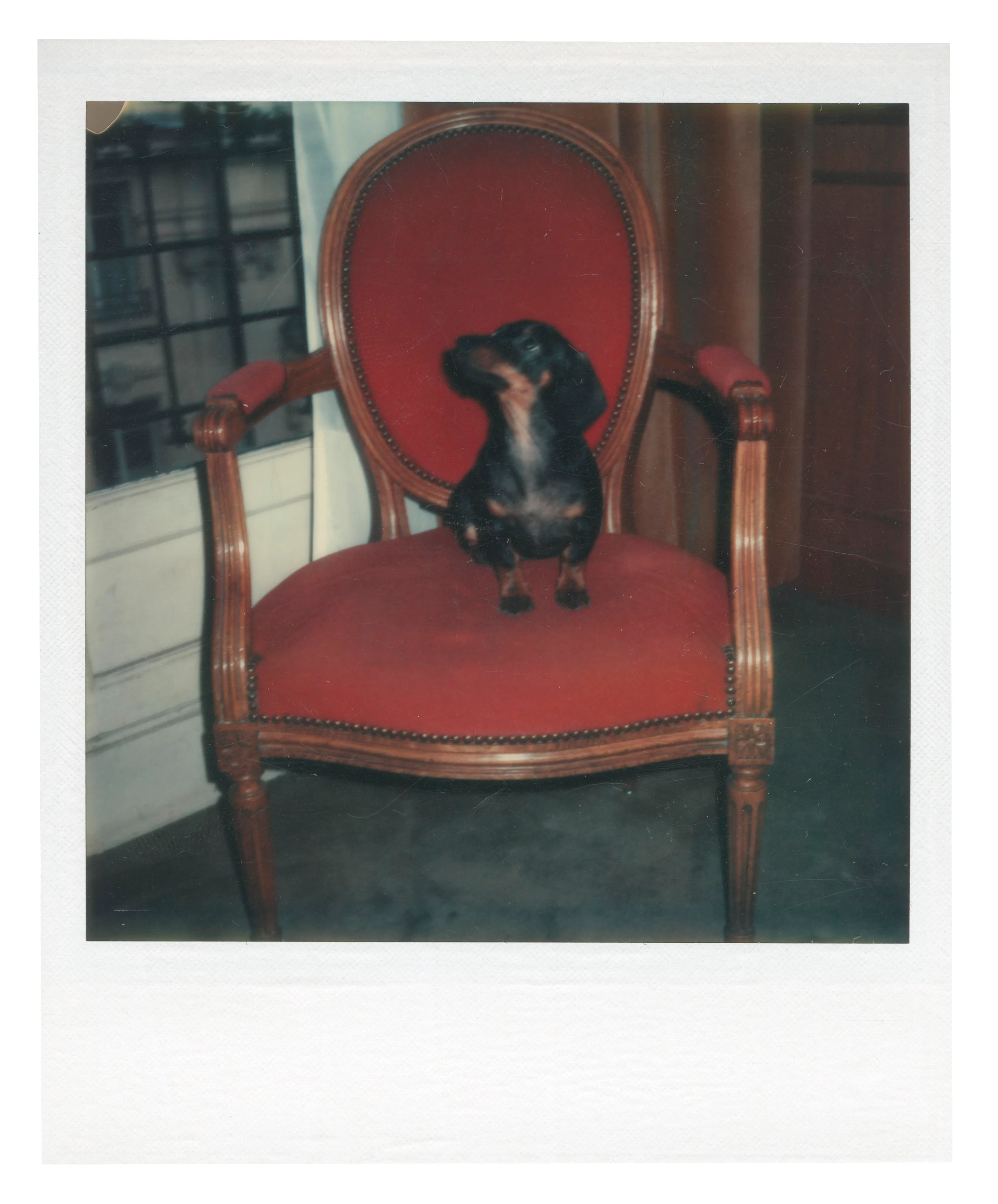 ANDY WARHOL (1928-1987)