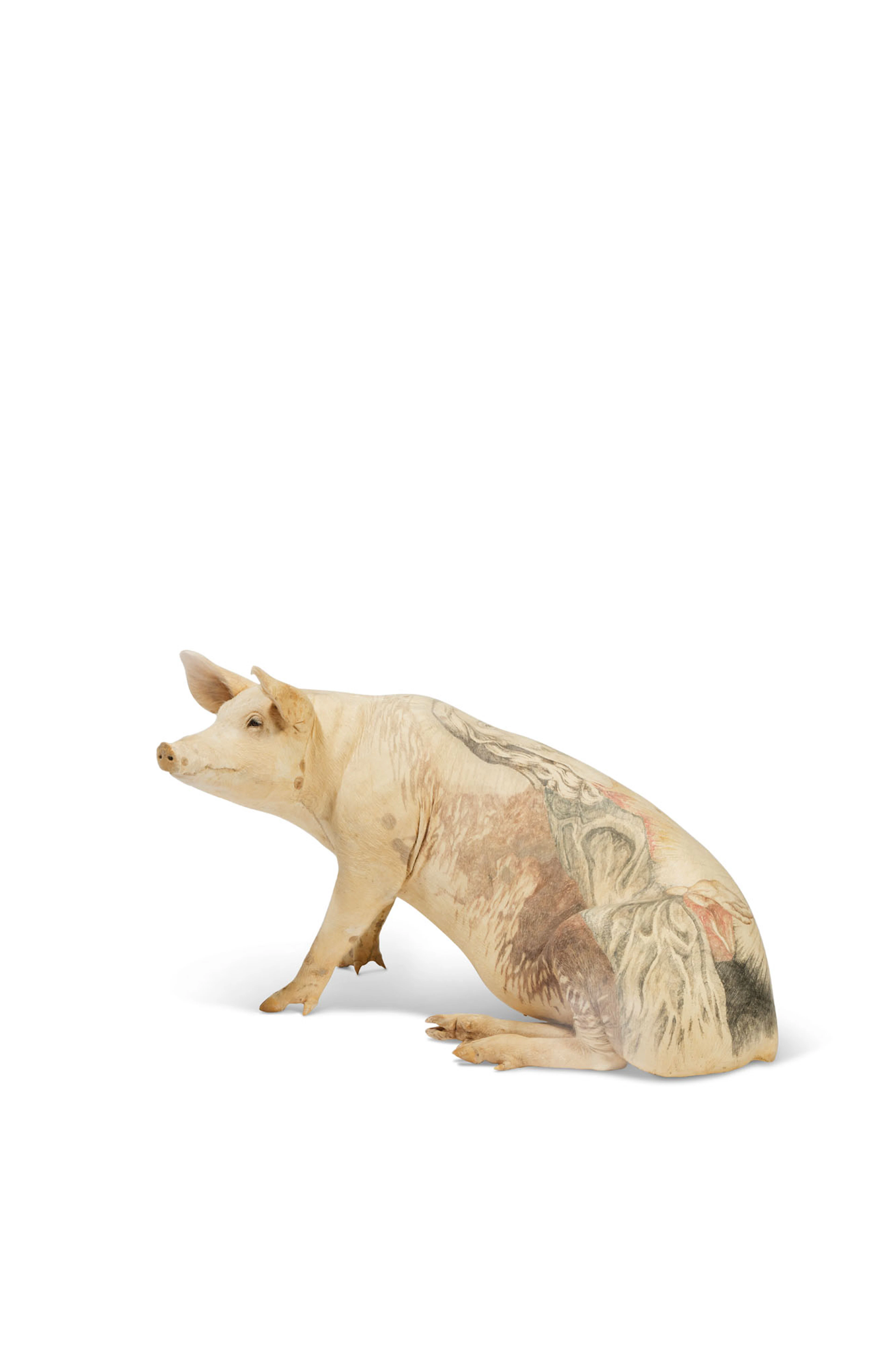 Rex