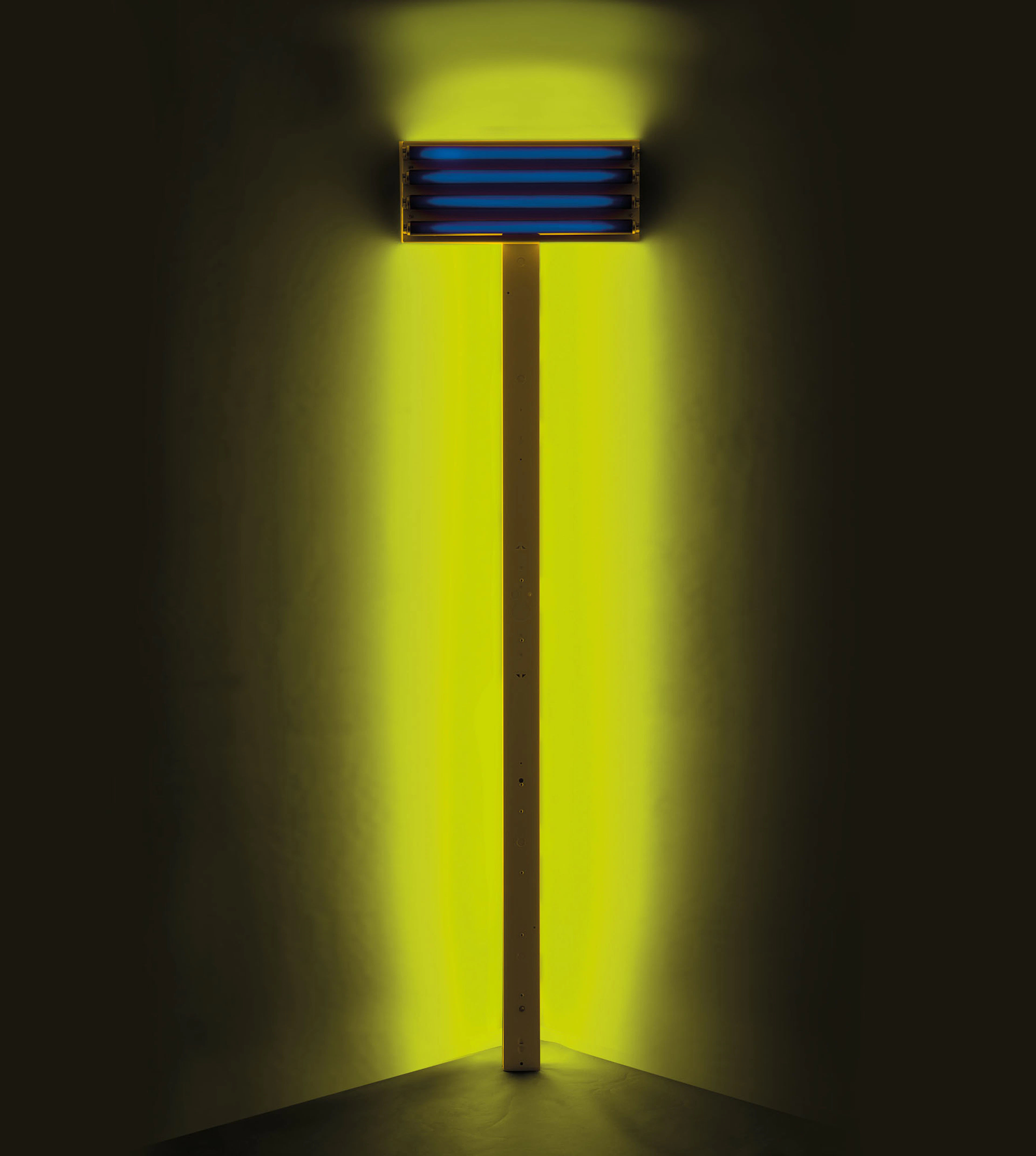 DAN FLAVIN (1933-1996)
