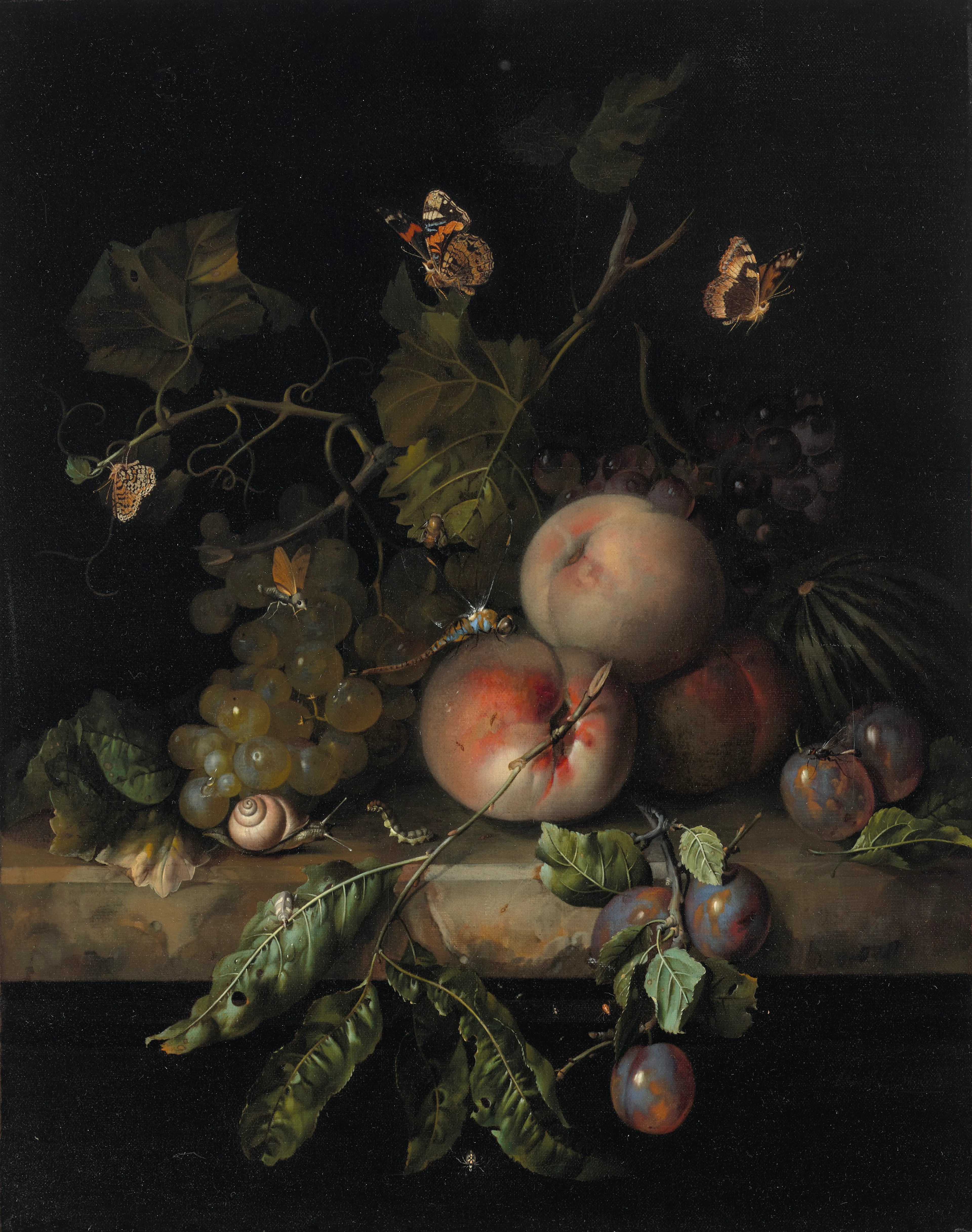 RACHEL RUYSCH (THE HAGUE 1664-1750 AMSTERDAM)