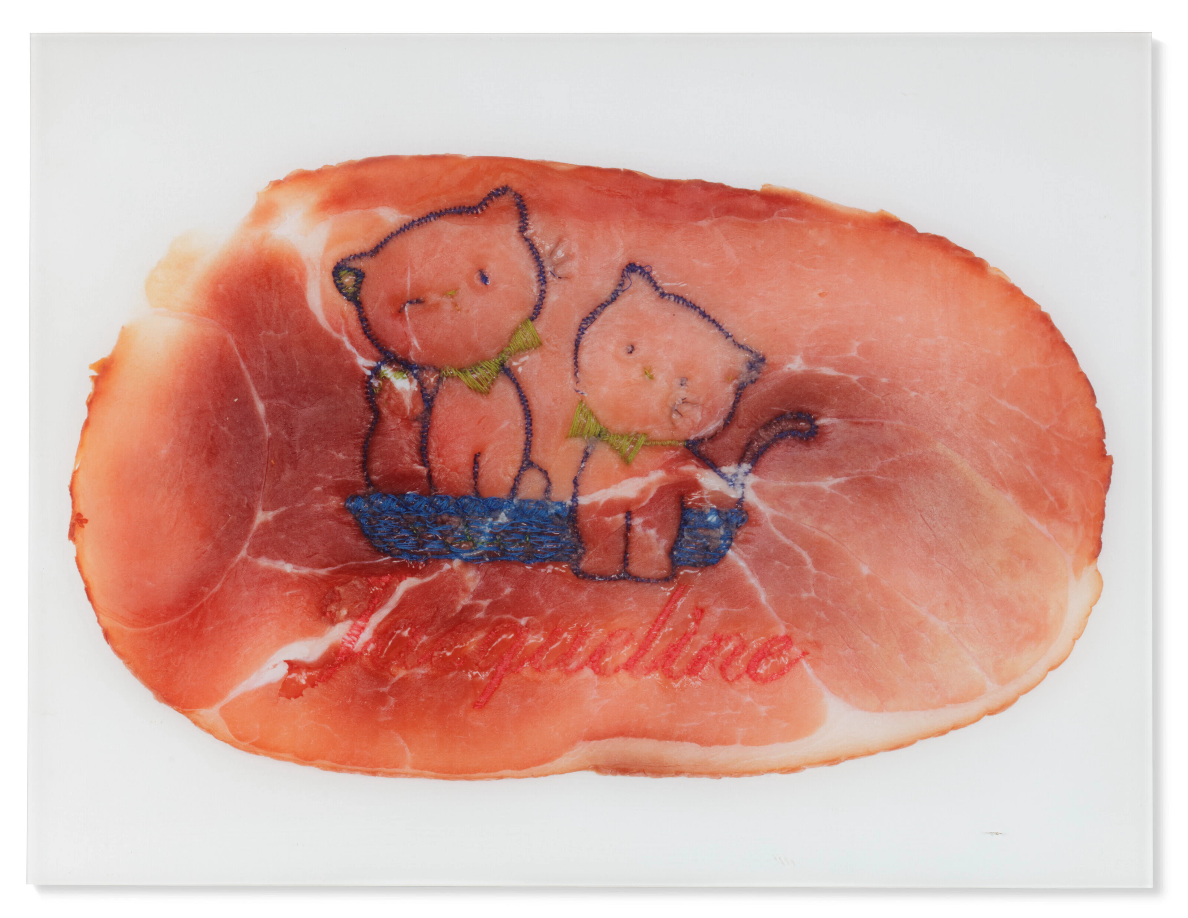 WIM DELVOYE (B. 1965)
