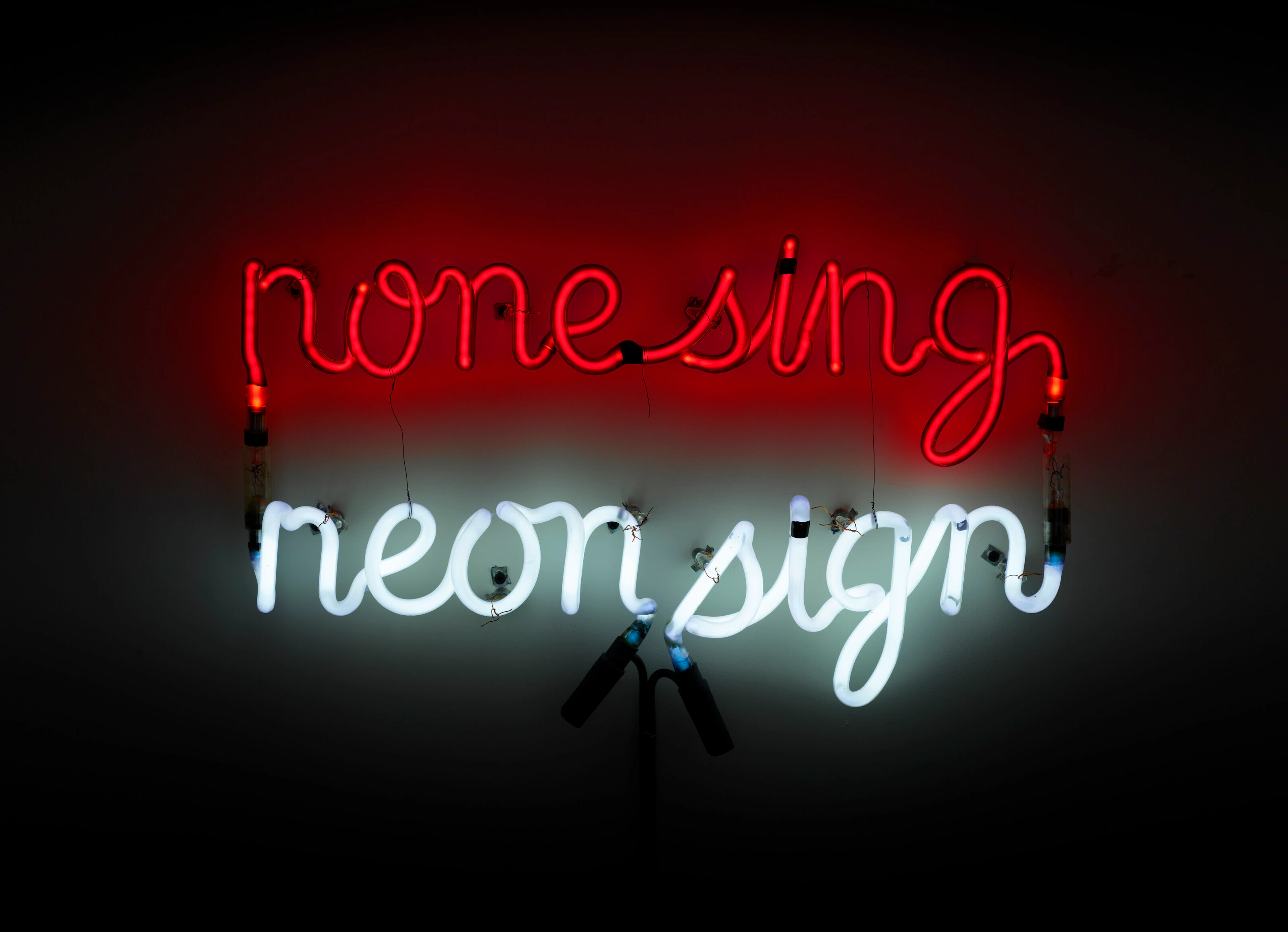 BRUCE NAUMAN (b. 1941)
