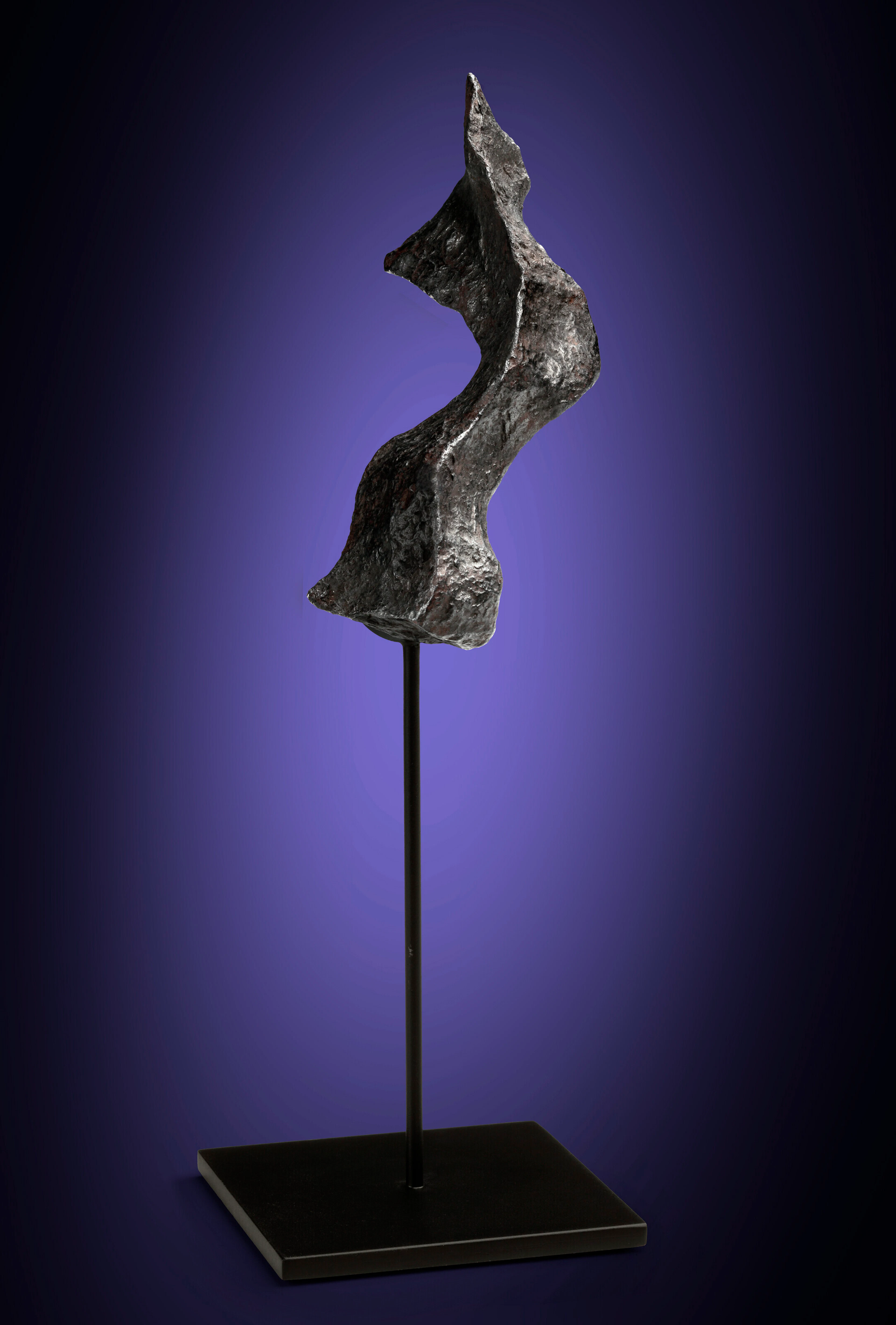 UNUSUAL GIBEON METEORITE FLANGE