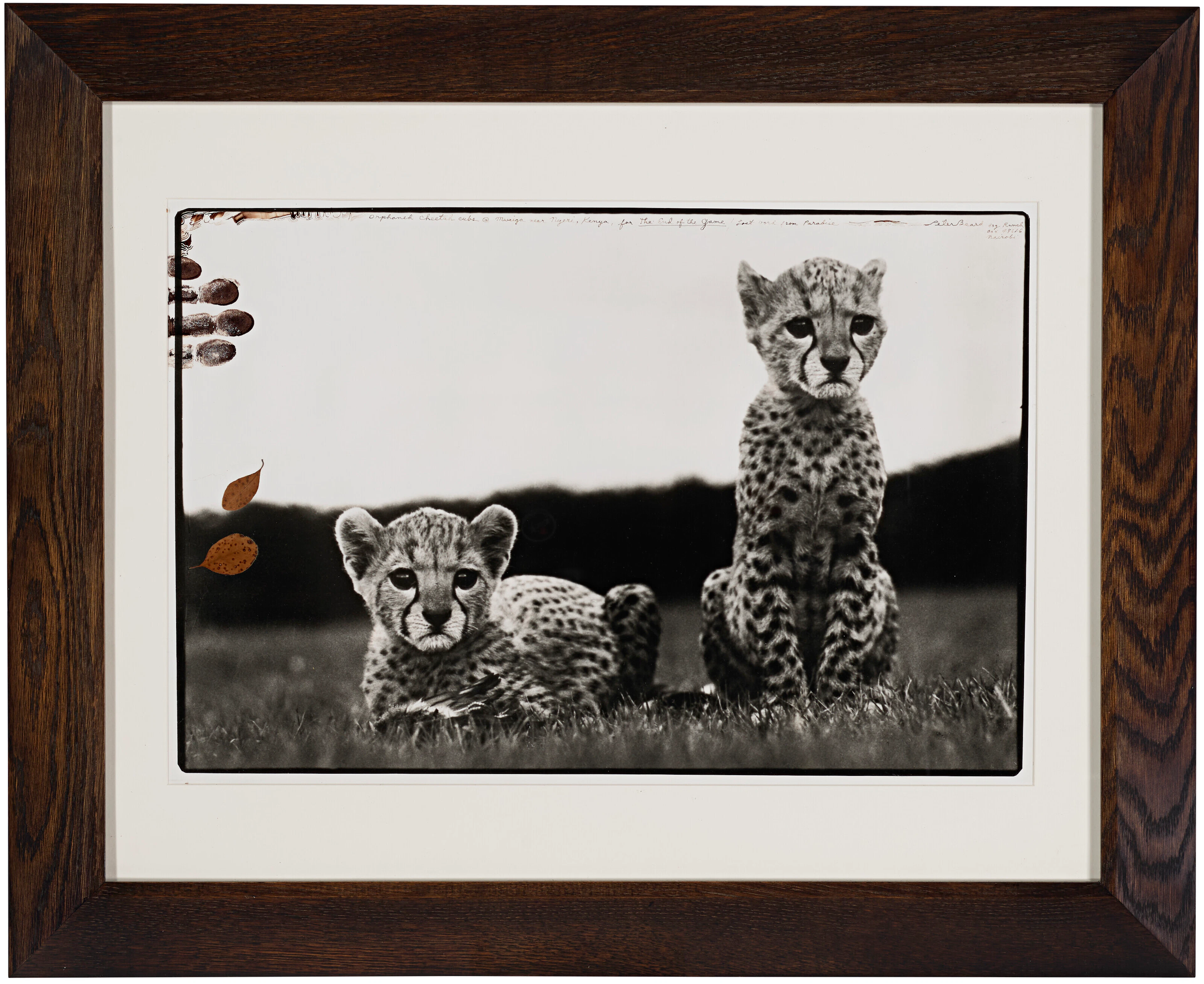 PETER BEARD (1938–2020)