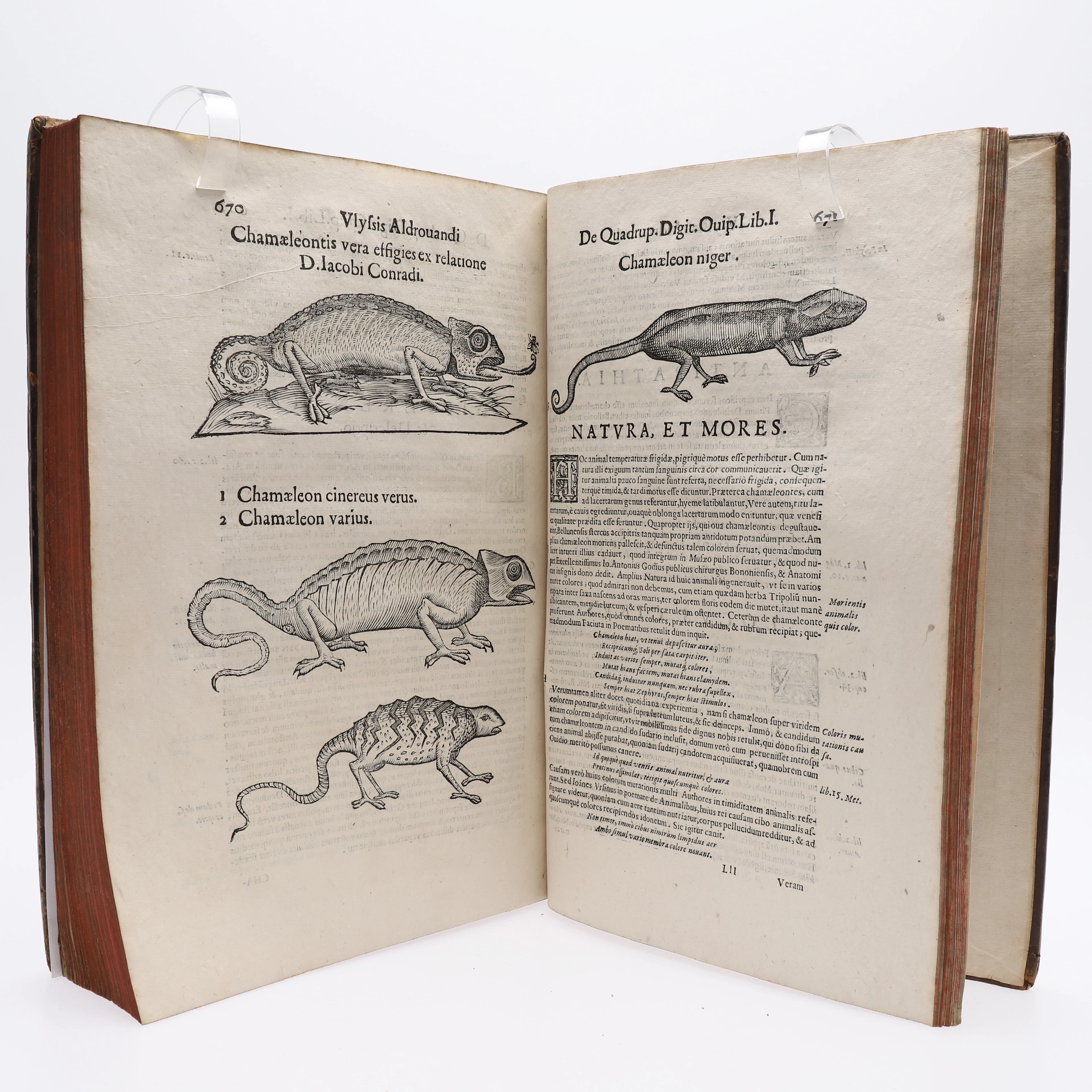 DE QUADRUPEDIBUS DIGITATIS VIVIPARIS LIBRI TRES AV ALDROVANDI 1637 - NATURALHISTORIENS FADER.