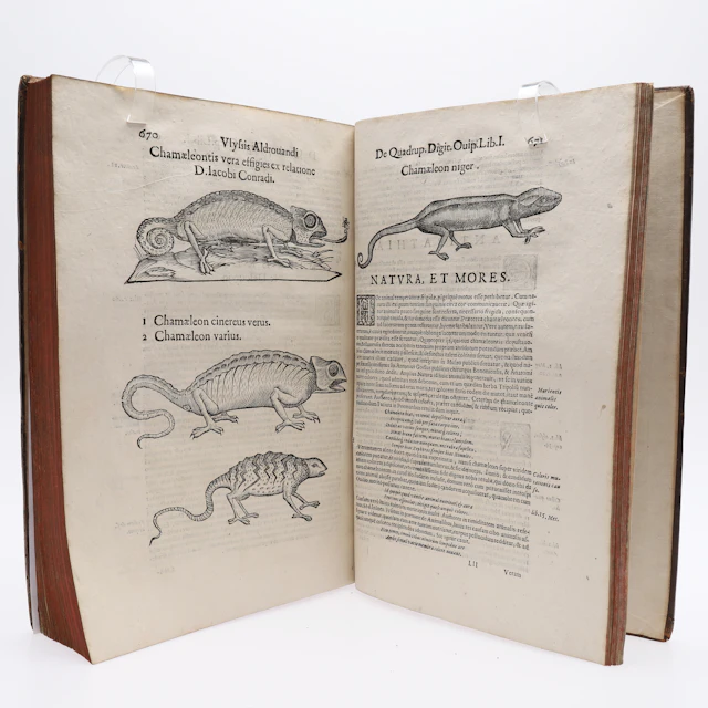 DE QUADRUPEDIBUS DIGITATIS VIVIPARIS LIBRI TRES AV ALDROVANDI 1637 - NATURALHISTORIENS FADER.