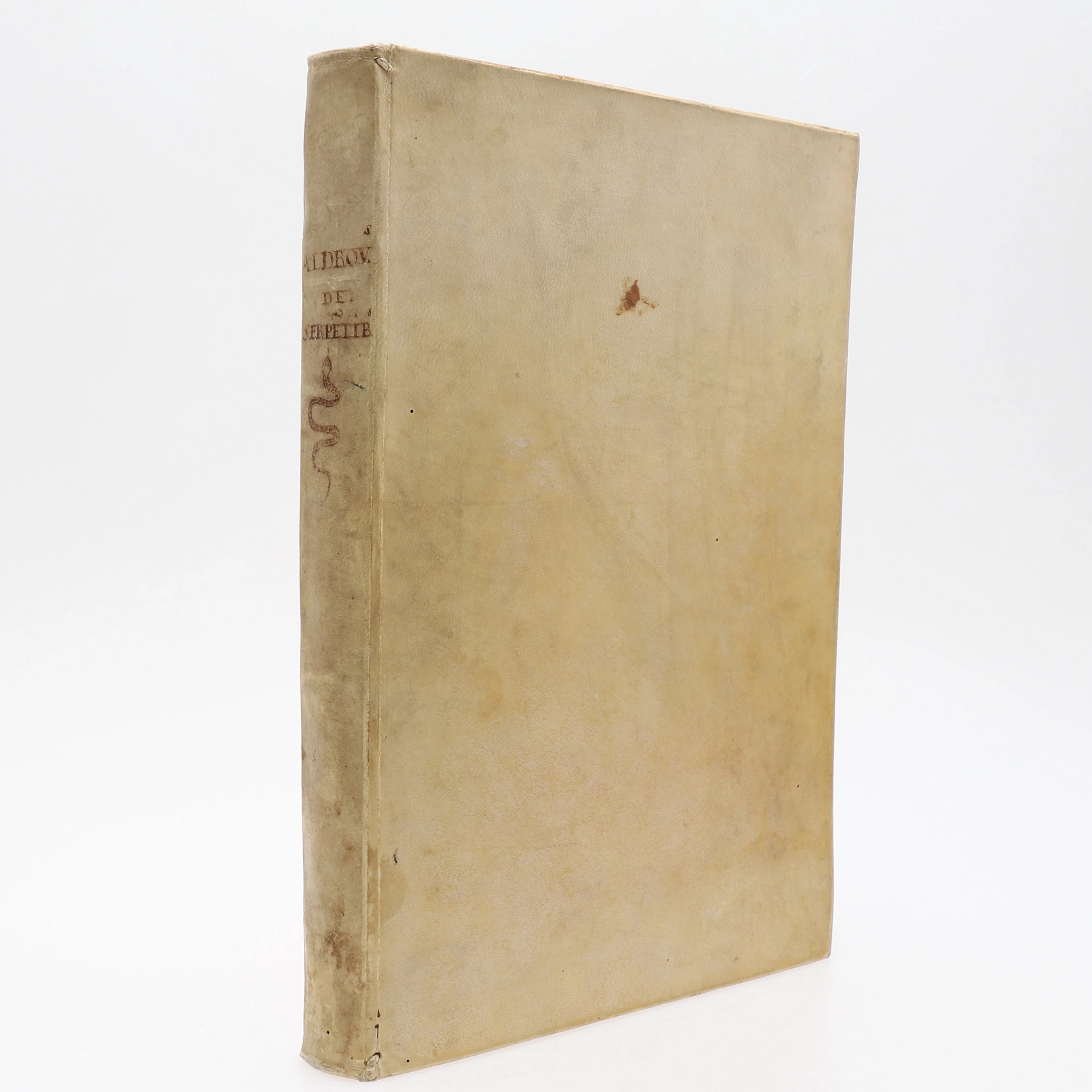 ALDROVANDIS STORA ARBETE OM ORMARNAS OCH DRAKARNAS HISTORIA 1640.