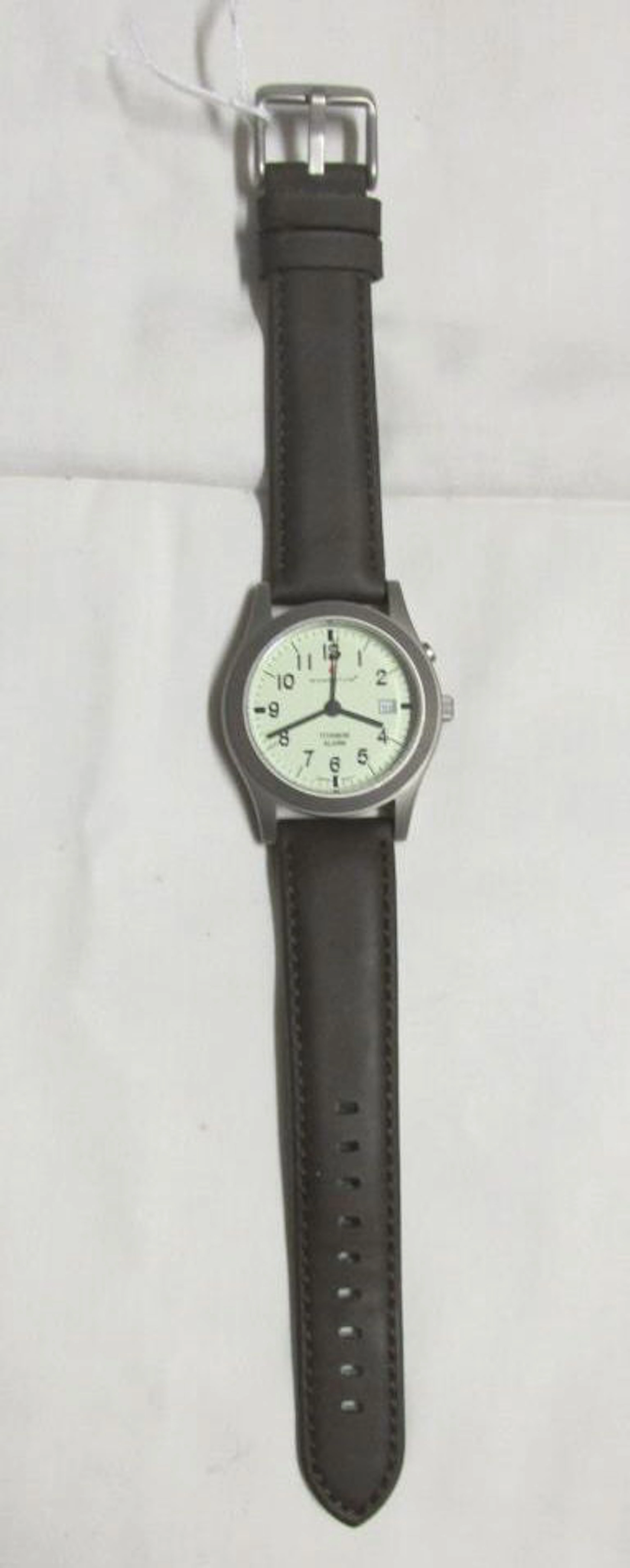 Momentum Titanium Watch with Brown/Blue Band