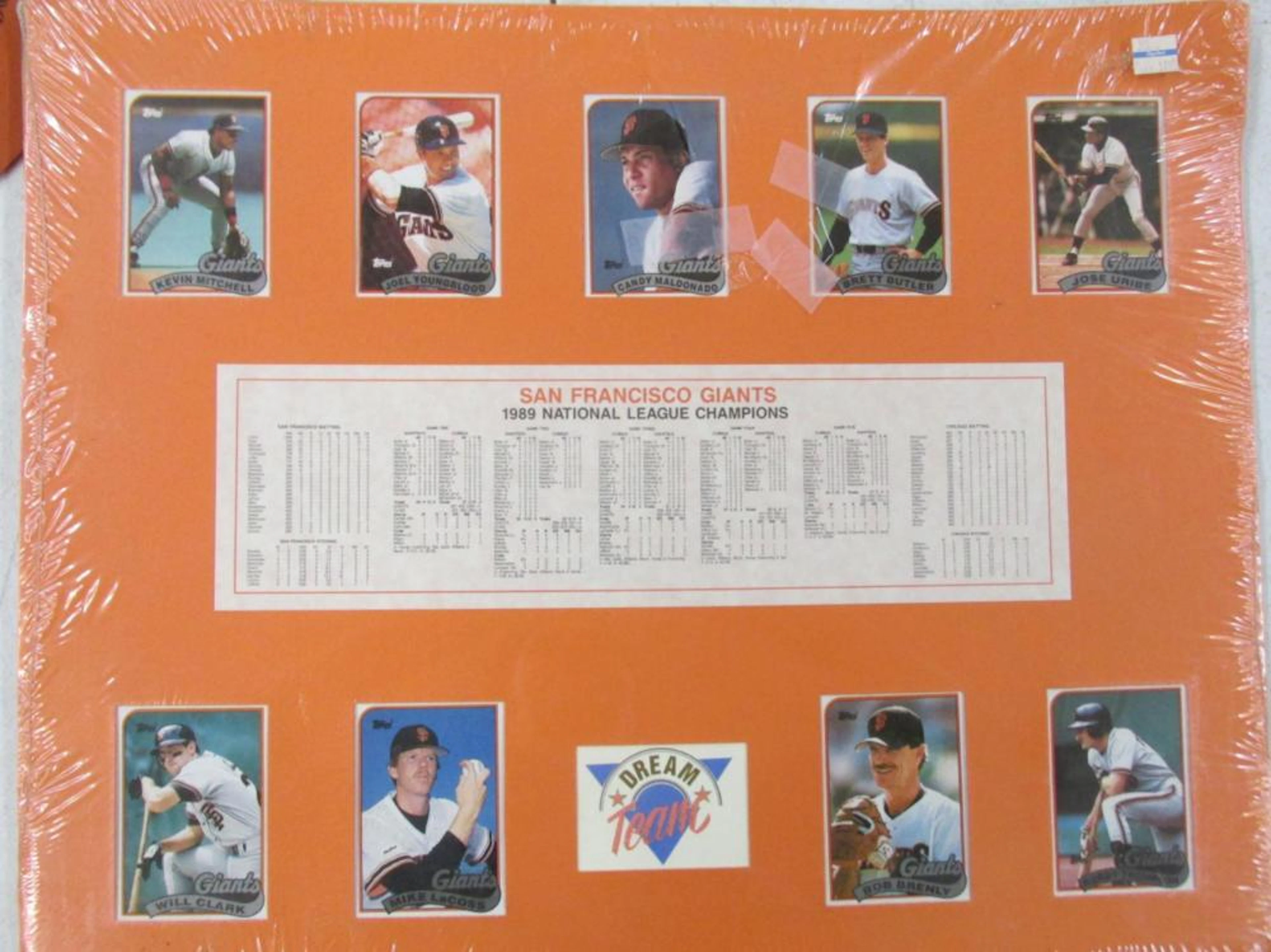 20X16 1989 SF Giants National League Champions