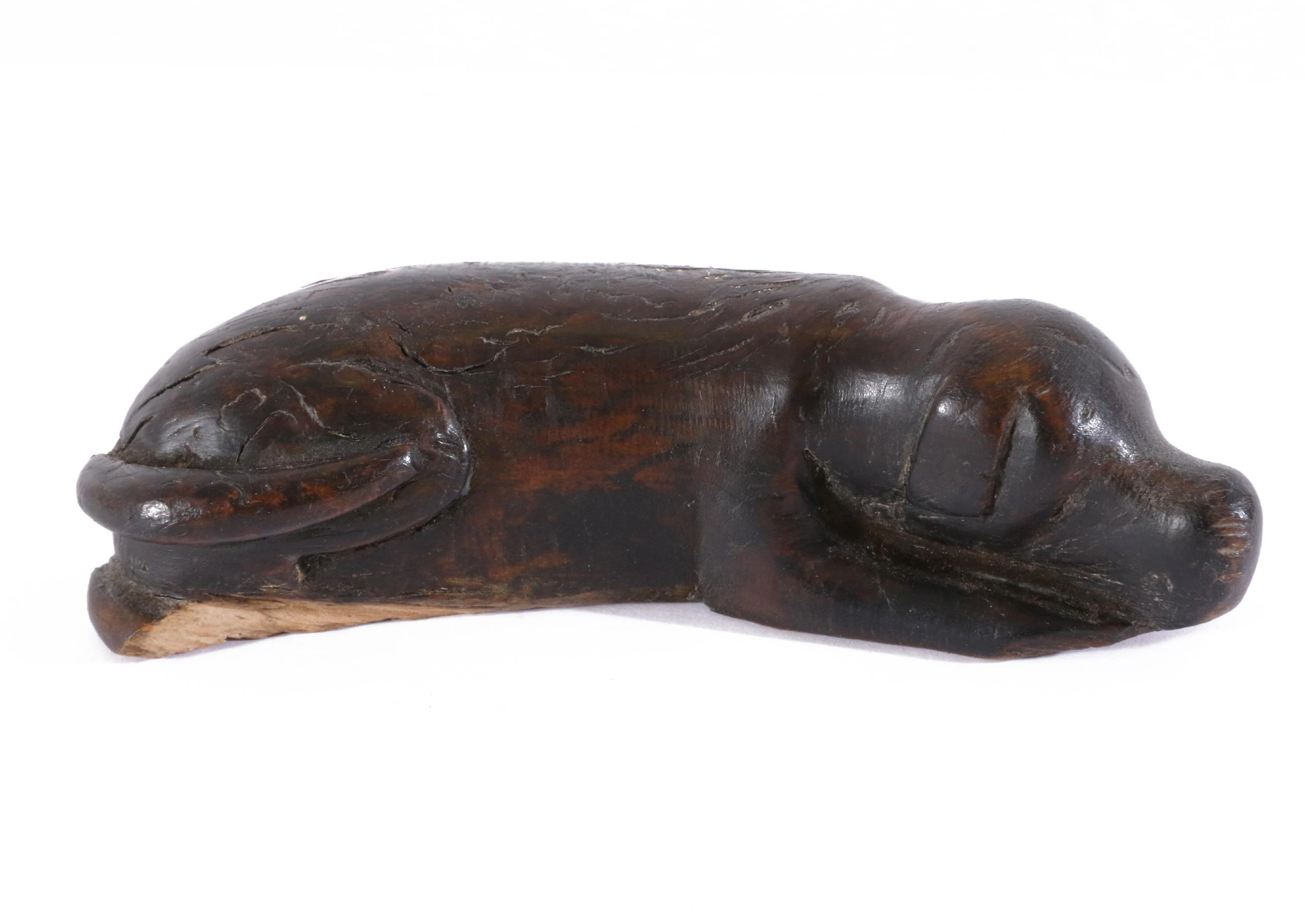 Snushund, 1800-tal