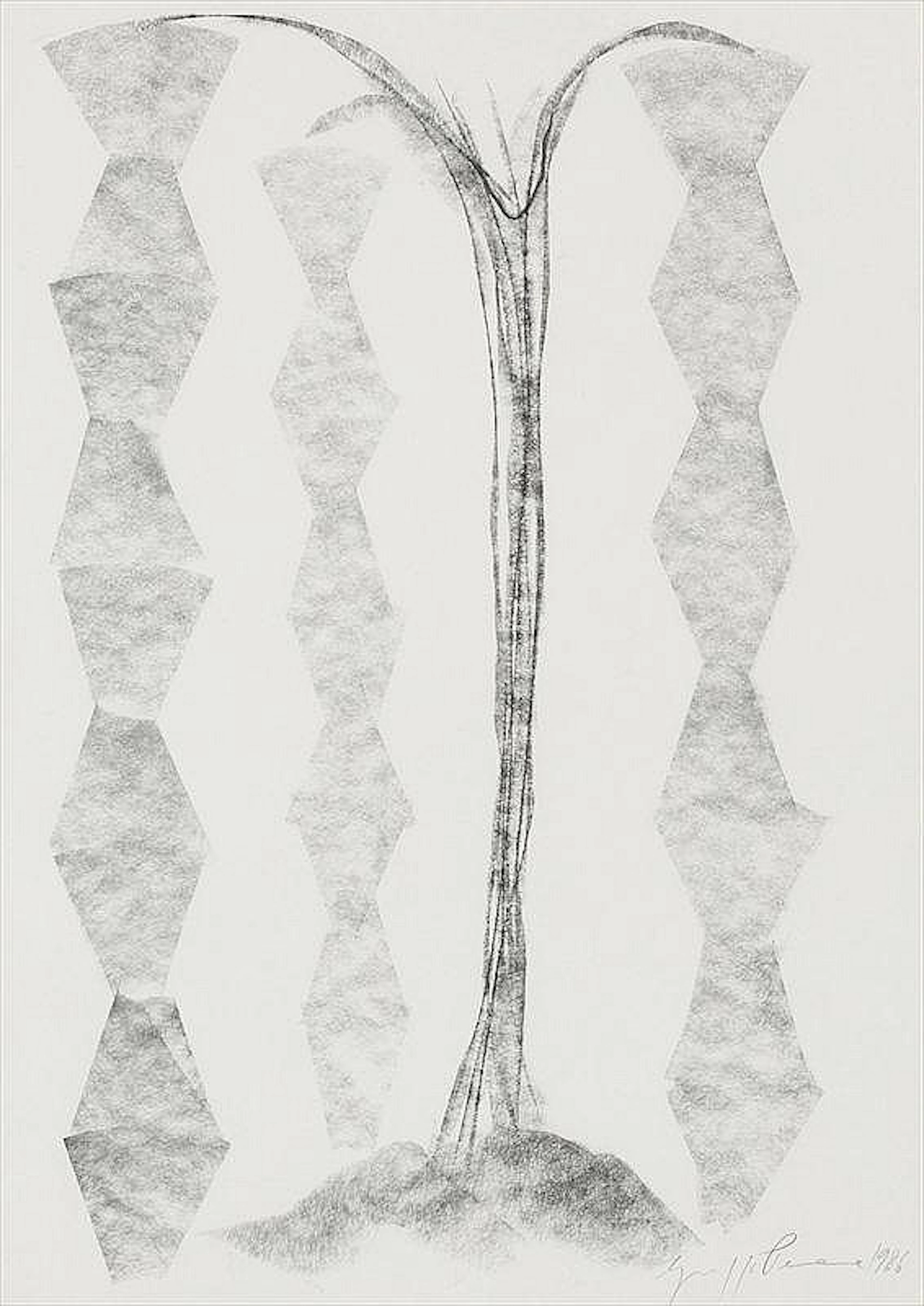 Giuseppe Penone, Work