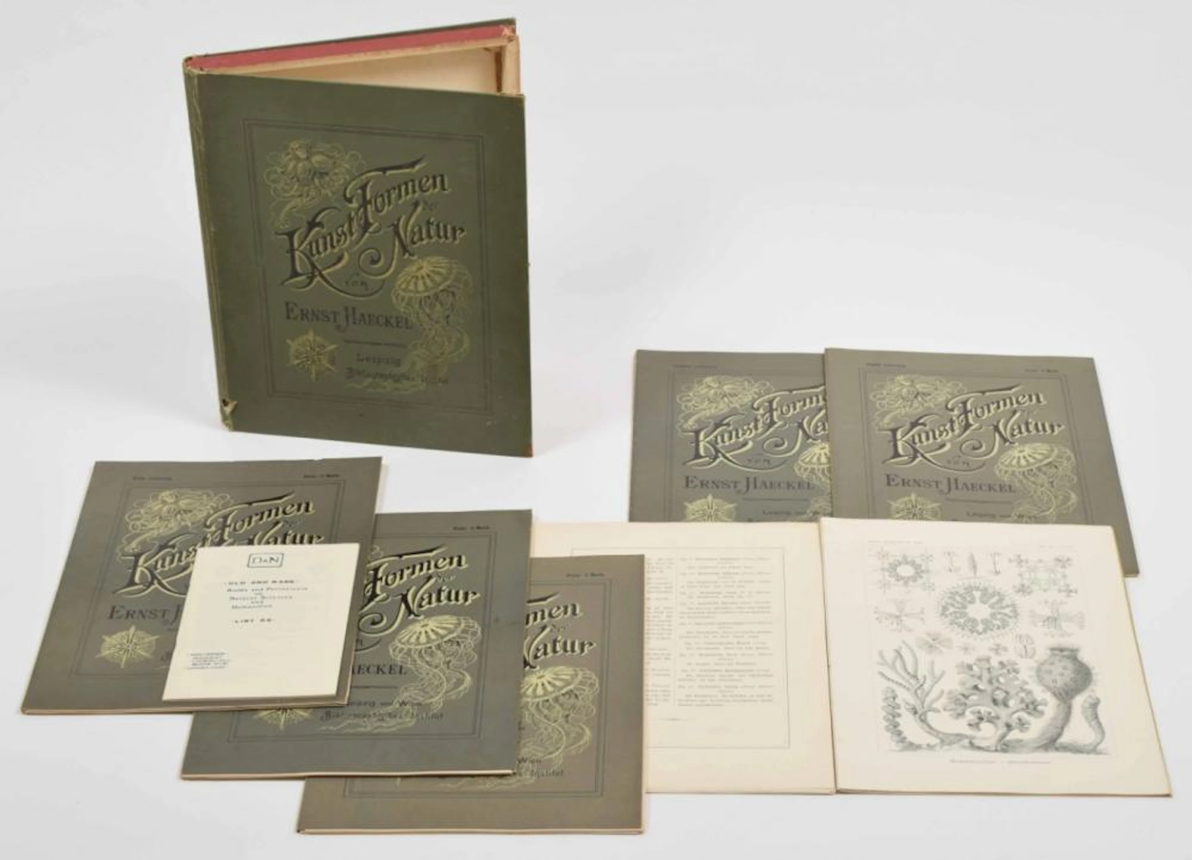 [OLD BOOKS: NATURAL HISTORY] [HAECKEL] KUNSTFORMEN DER NATUR