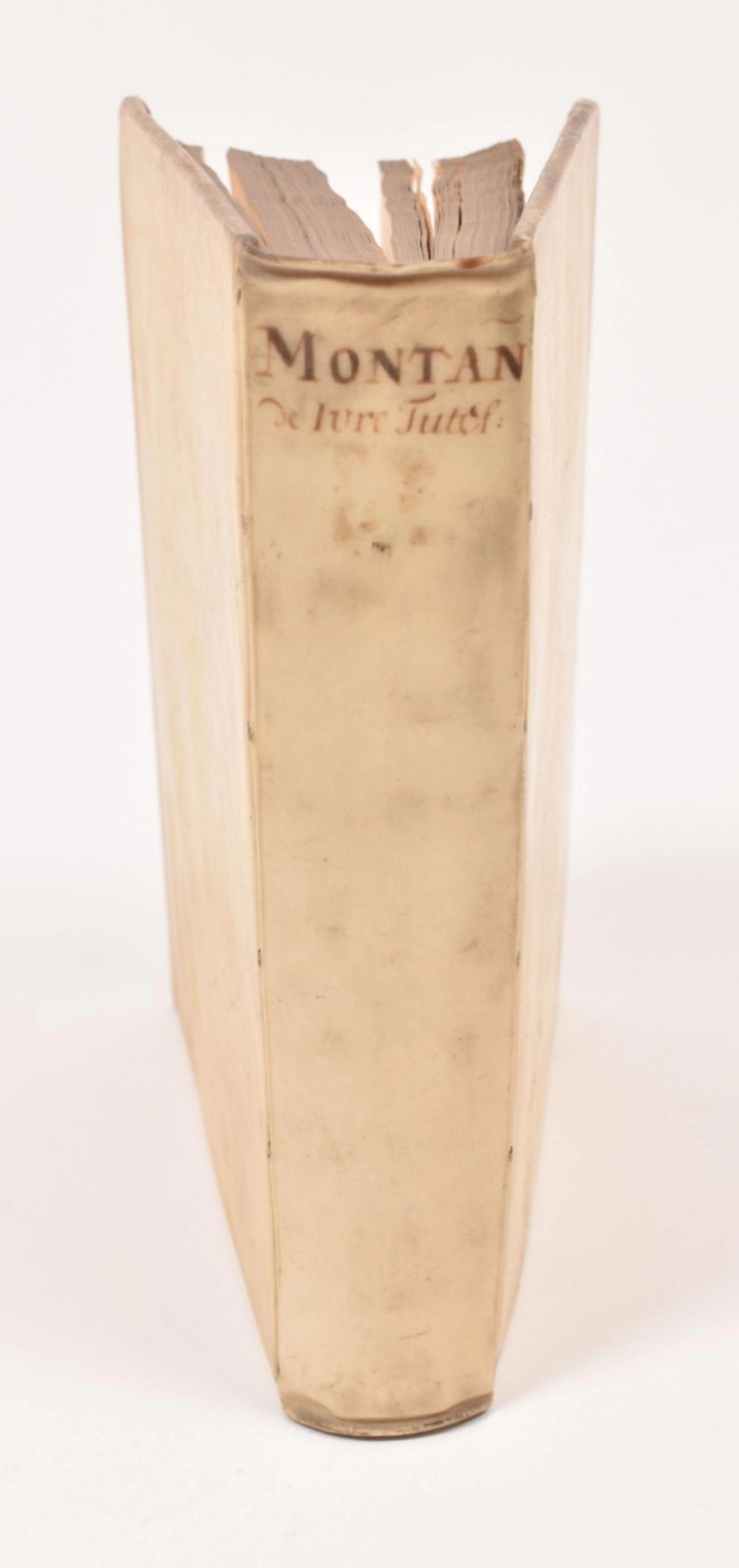 [OLD BOOKS 17TH-19TH CENTURY: LAW] PAULI MONTANI (...)