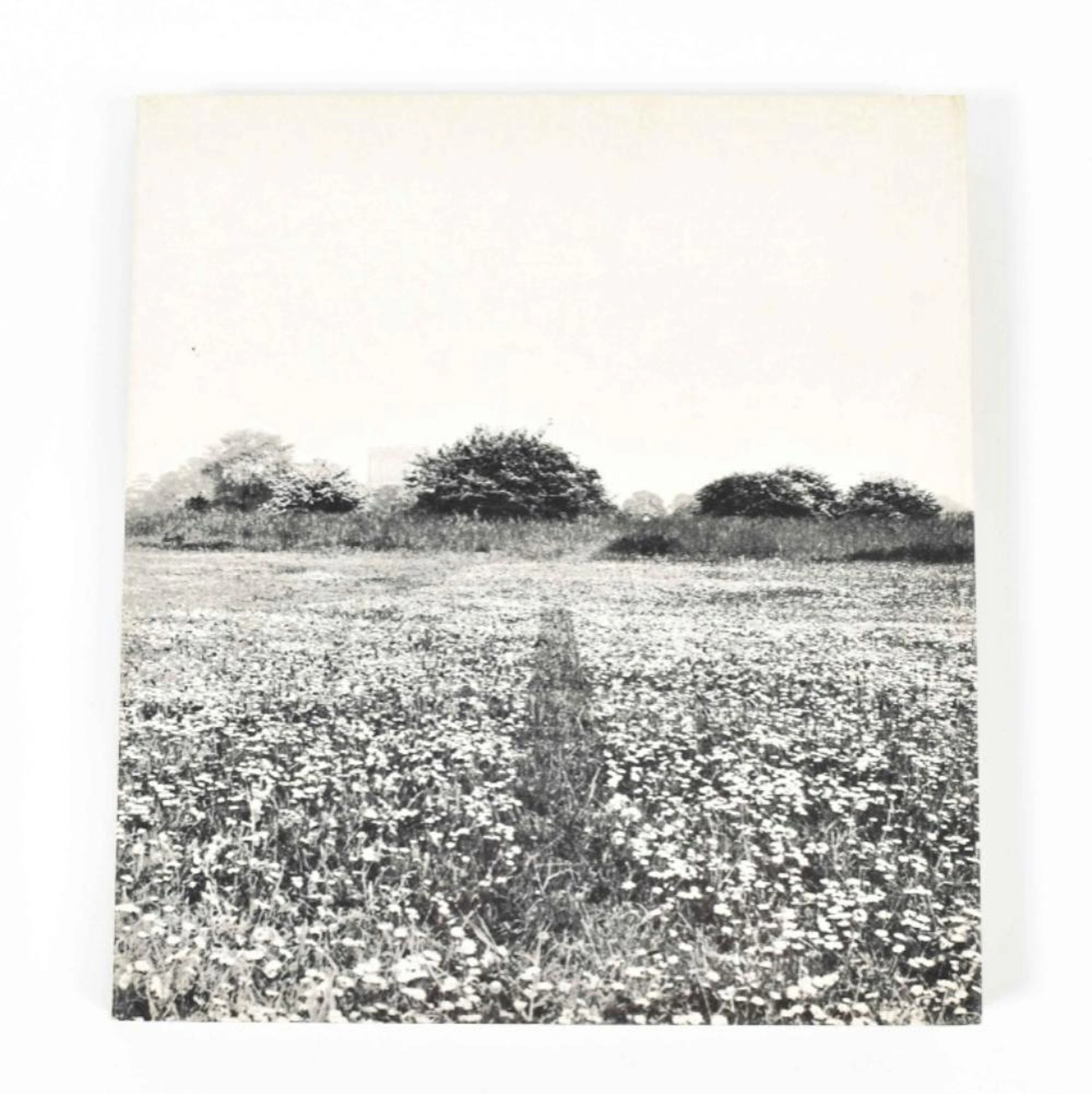 [S AND 1970S] GERMANO CELANT, ARTE POVERA