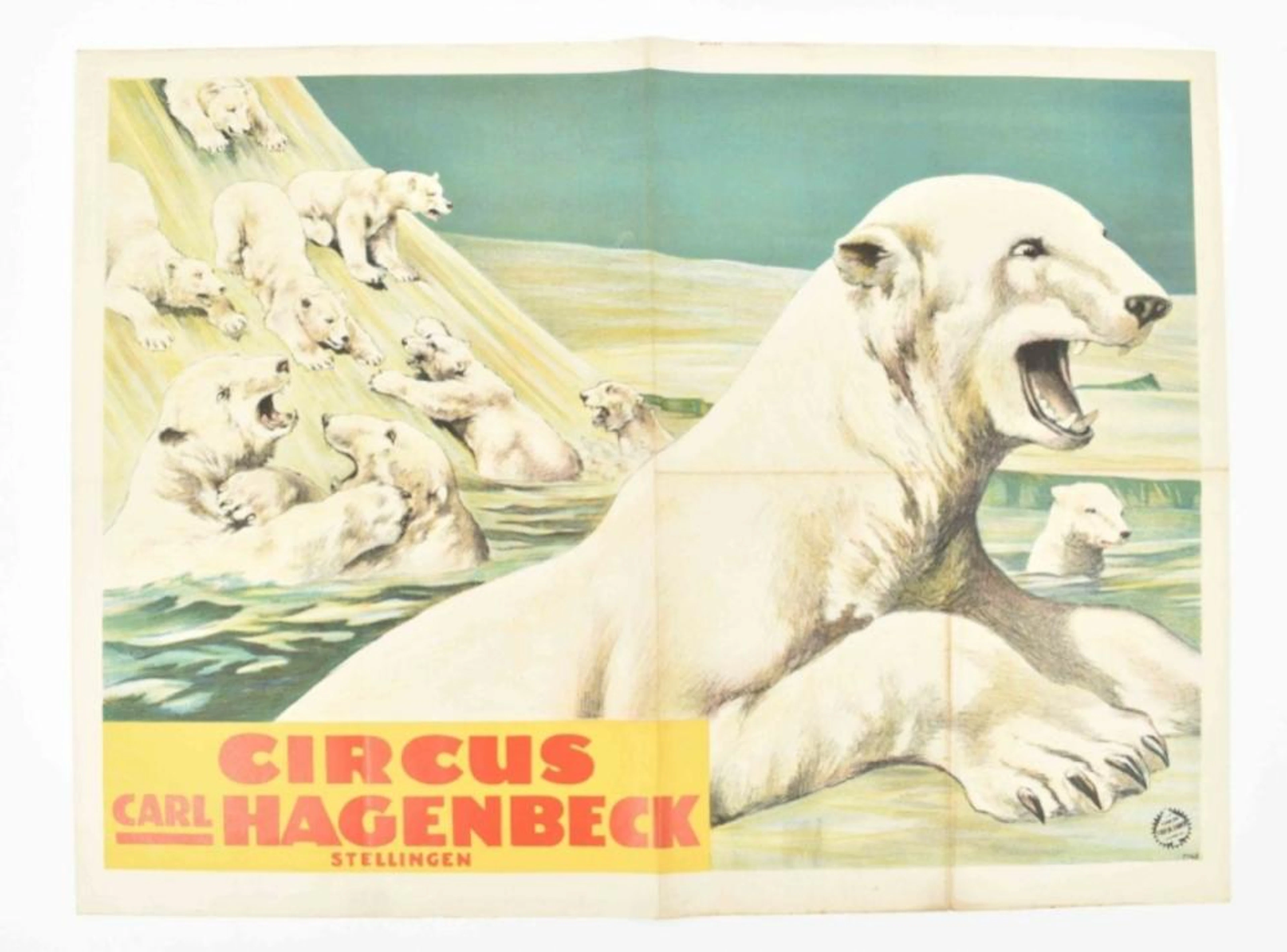 [ANIMAL DRESSAGE] [POLAR BEARS. CIRCUS HAGENBECK] "POLAR BEARS IN ICY LANDSCAPE"
