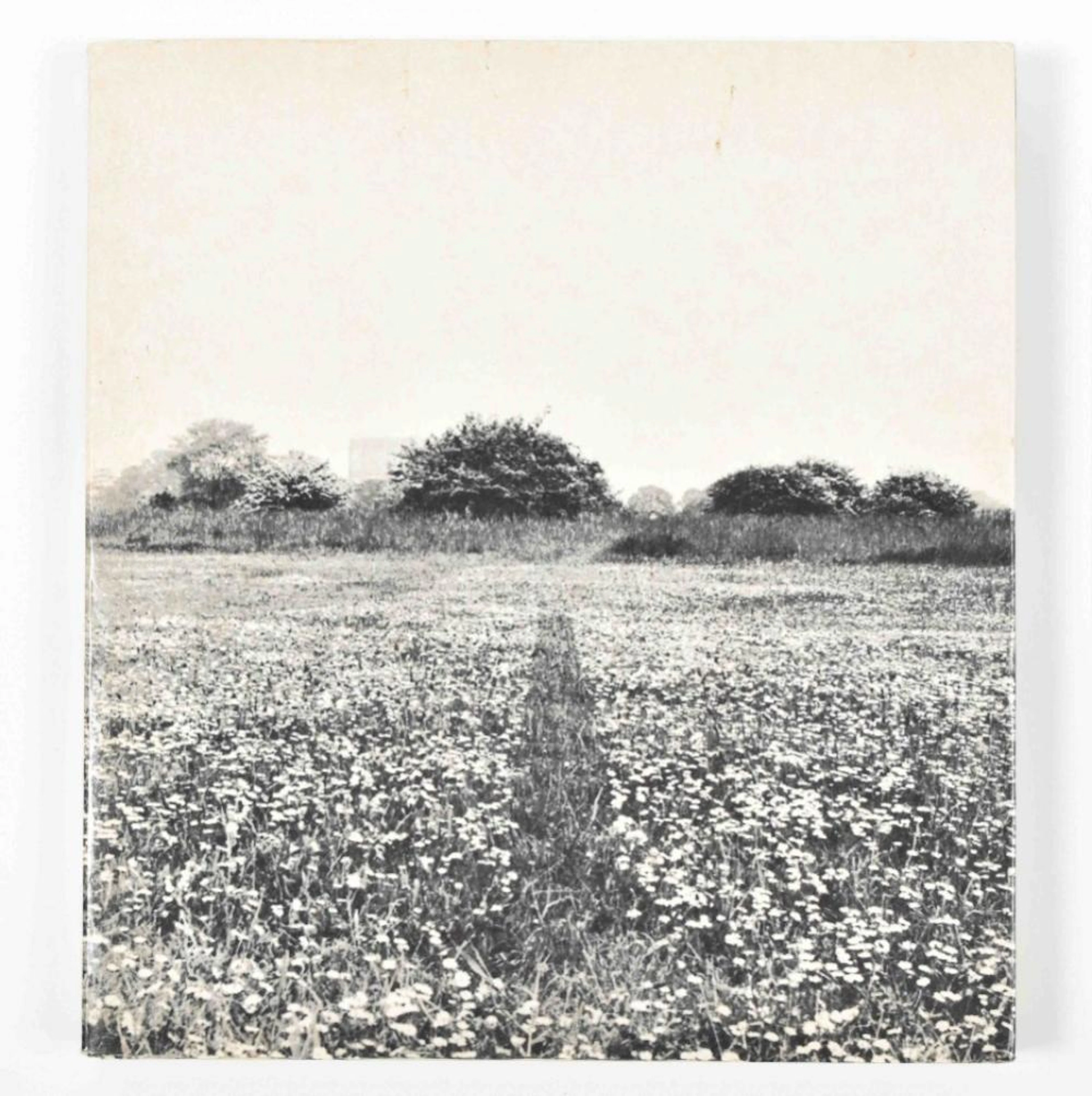[S AVANT-GARDE ] GERMANO CELANT, ARTE POVERA. MILAN, MAZZOTTA EDITORE, 1969