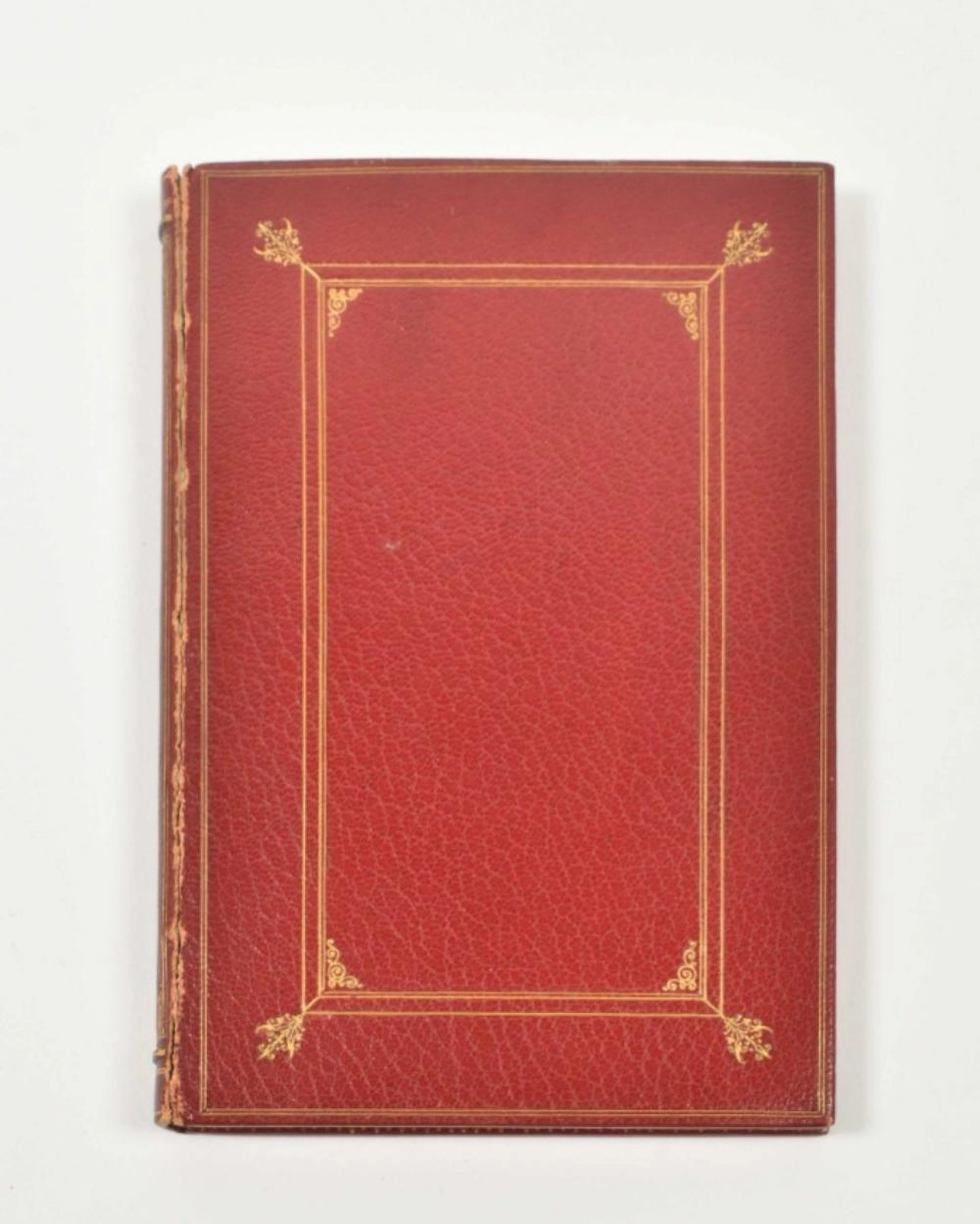 [LITERATURE ] [DECADENT MOVEMENT] GABRIELE D'ANNUNZIO (1863-1938)