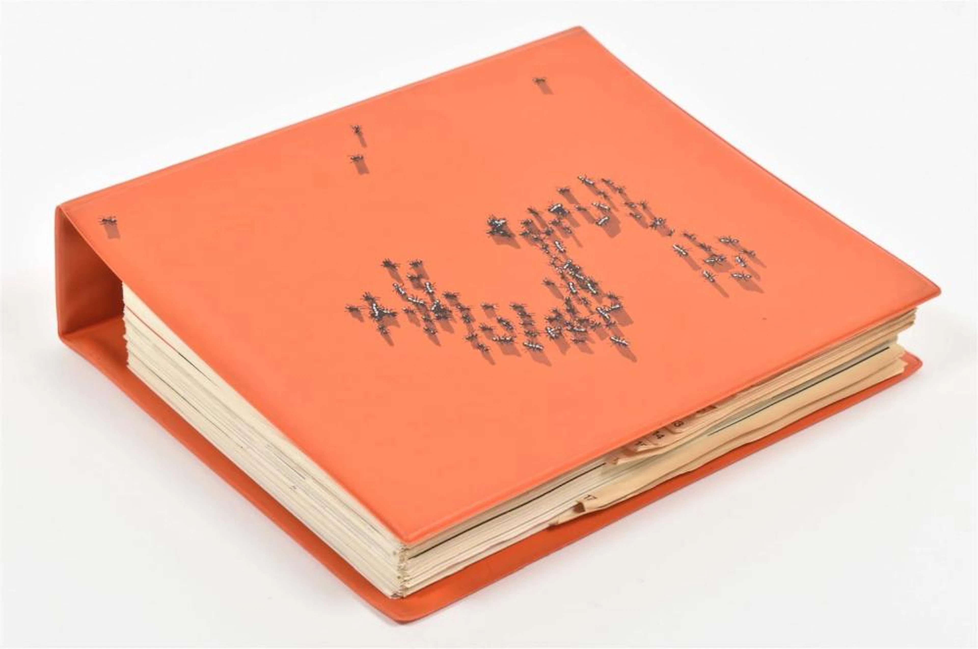 [1970S] DOCUMENTA 5. KASSEL, DOCUMENTA GMBH, 1972