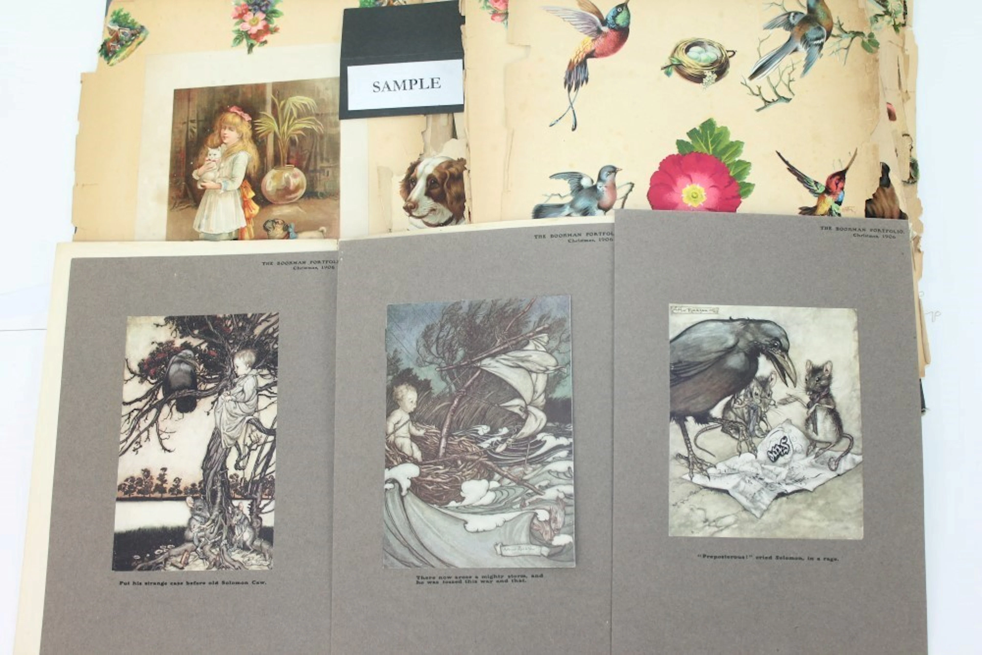 Book - three drawings from Peter Pan in Kensington Gardens The Bookman