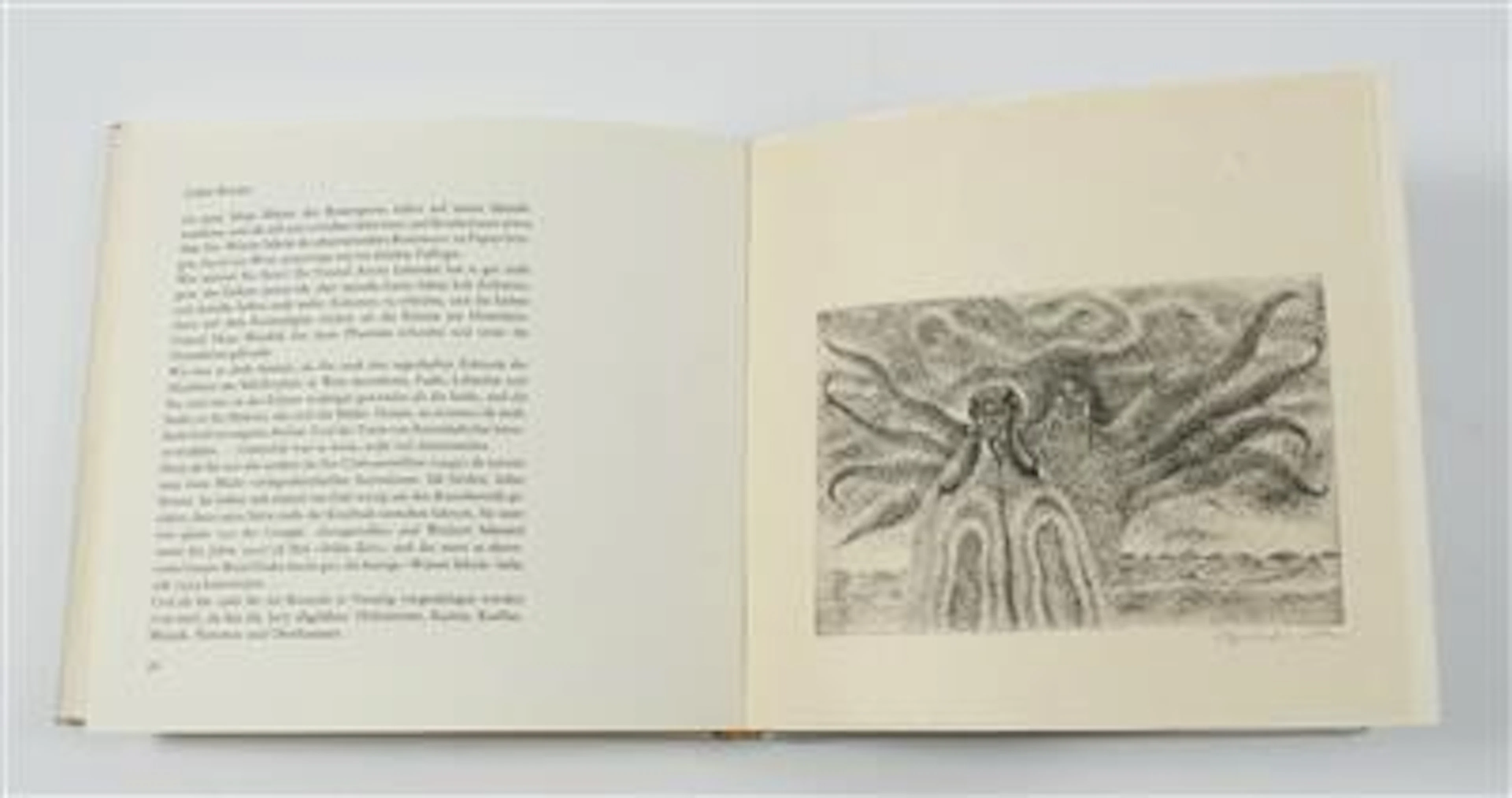 BRAUER. - FLEISSNER, H.