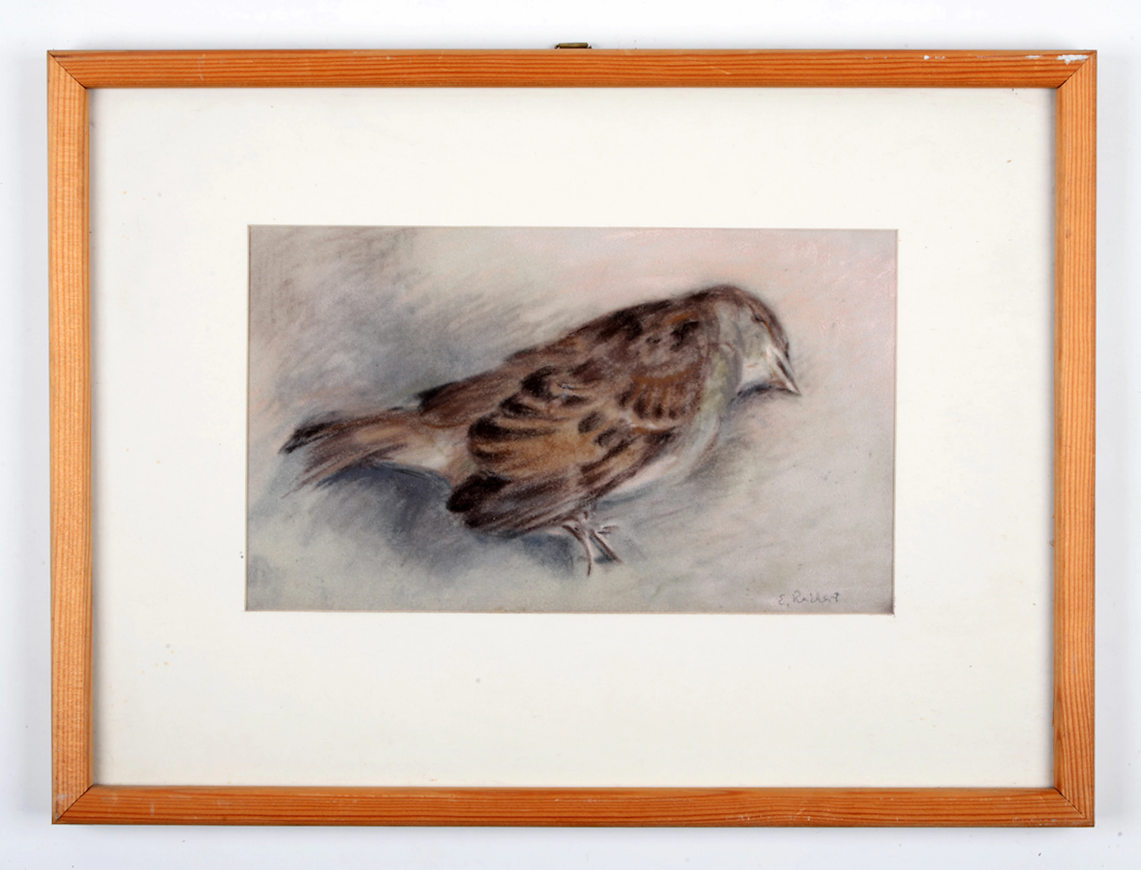 EDITH REICHERT. Toter Vogel. Pastellgemälde. Nachlass eines Künstlerehepaares.