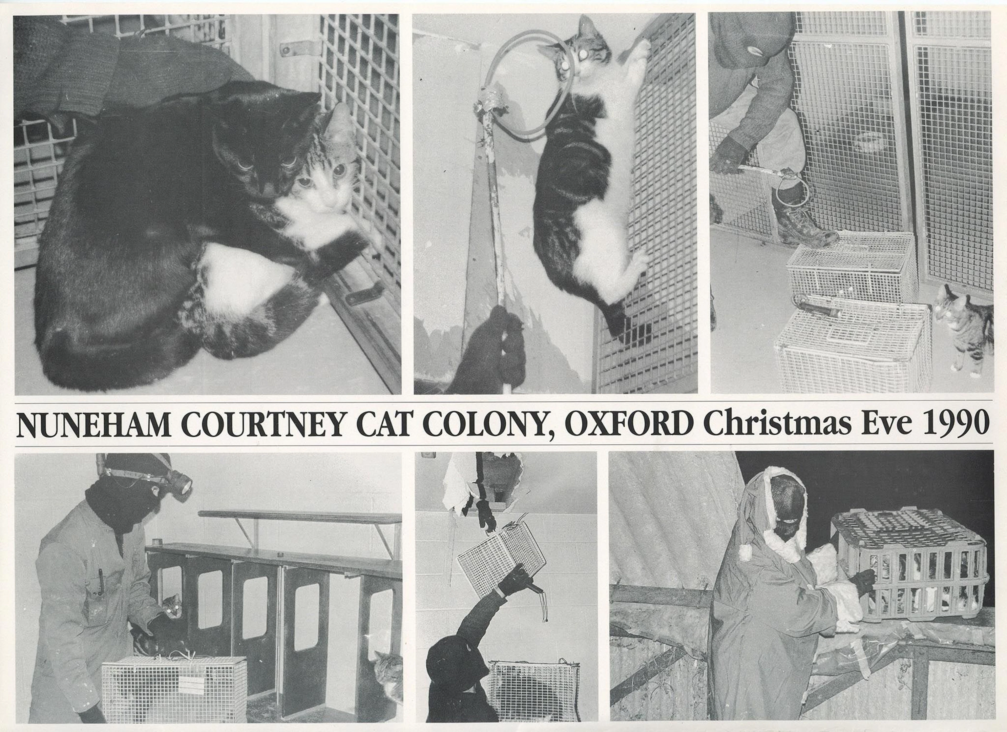 MEM A 29.6 x 41.4cm poster, almost certainly published by the Animal...