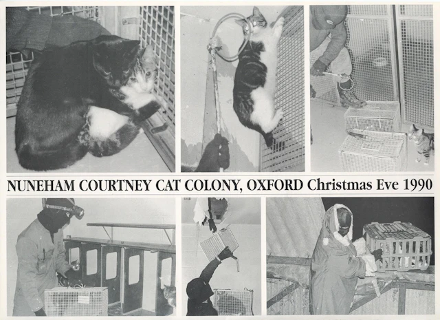 MEM A 29.6 x 41.4cm poster, almost certainly published by the Animal...