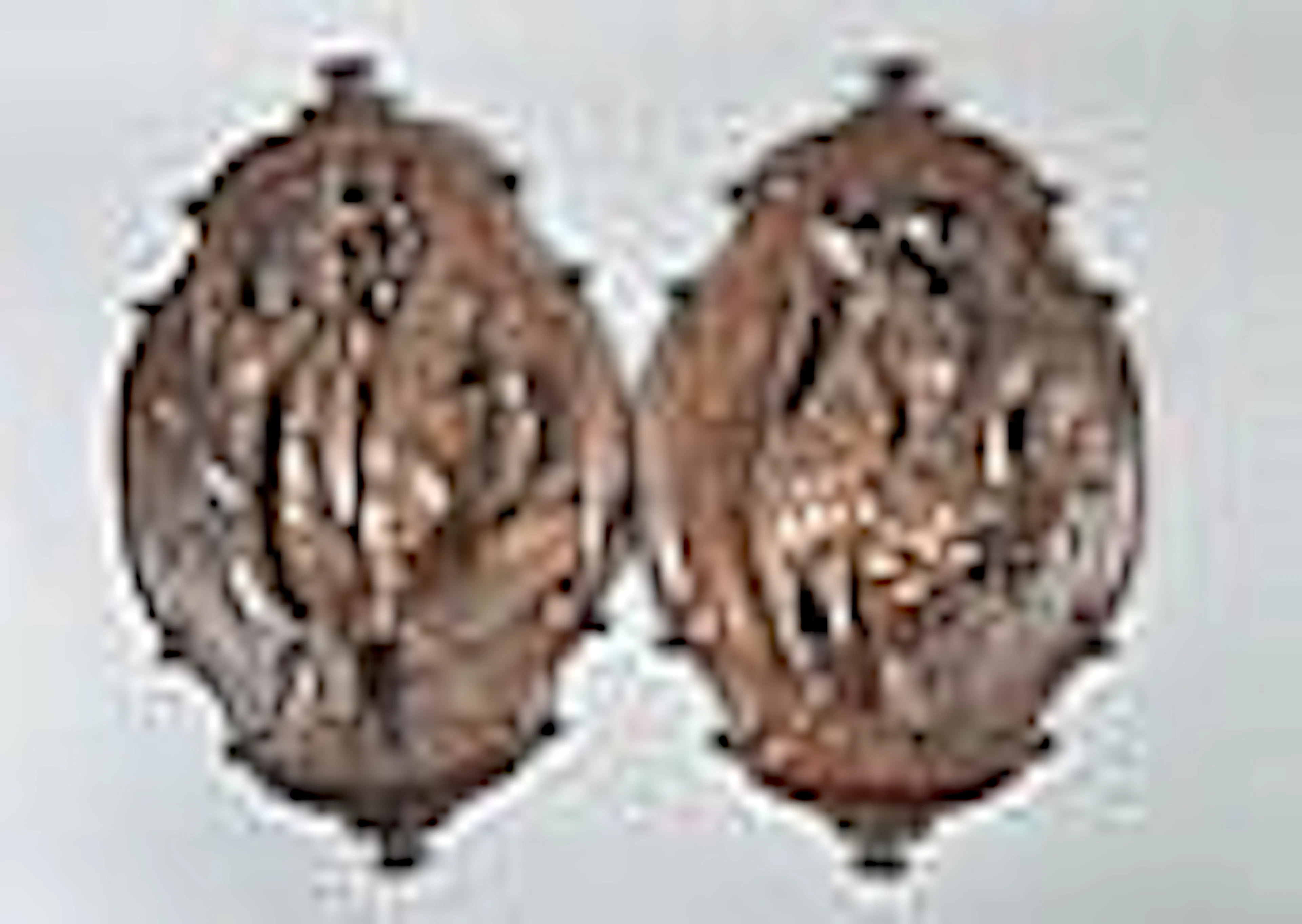 A pair of Victorian wooden plaques, wall hanging