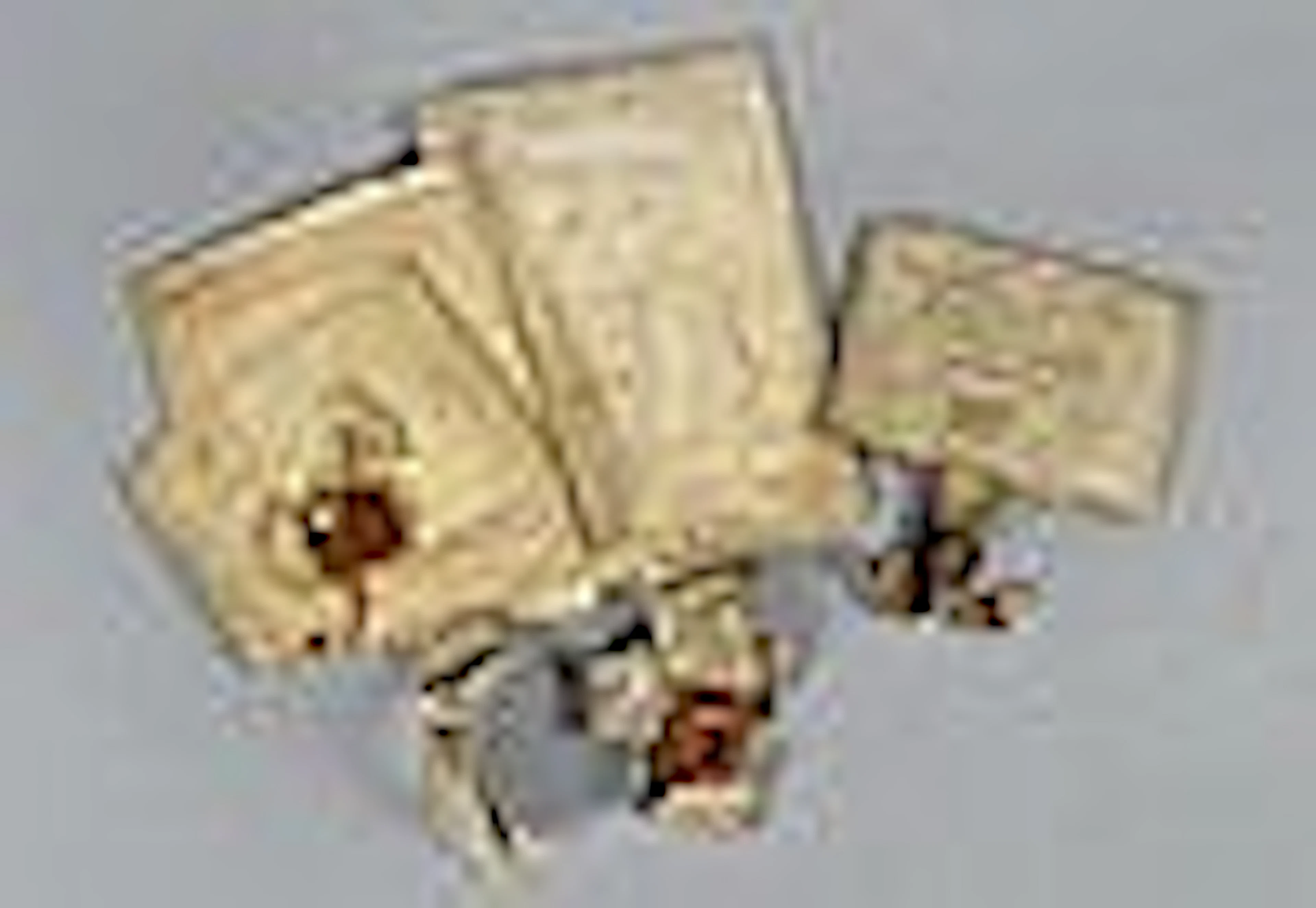 A collection of twenty four 17c and early 18c