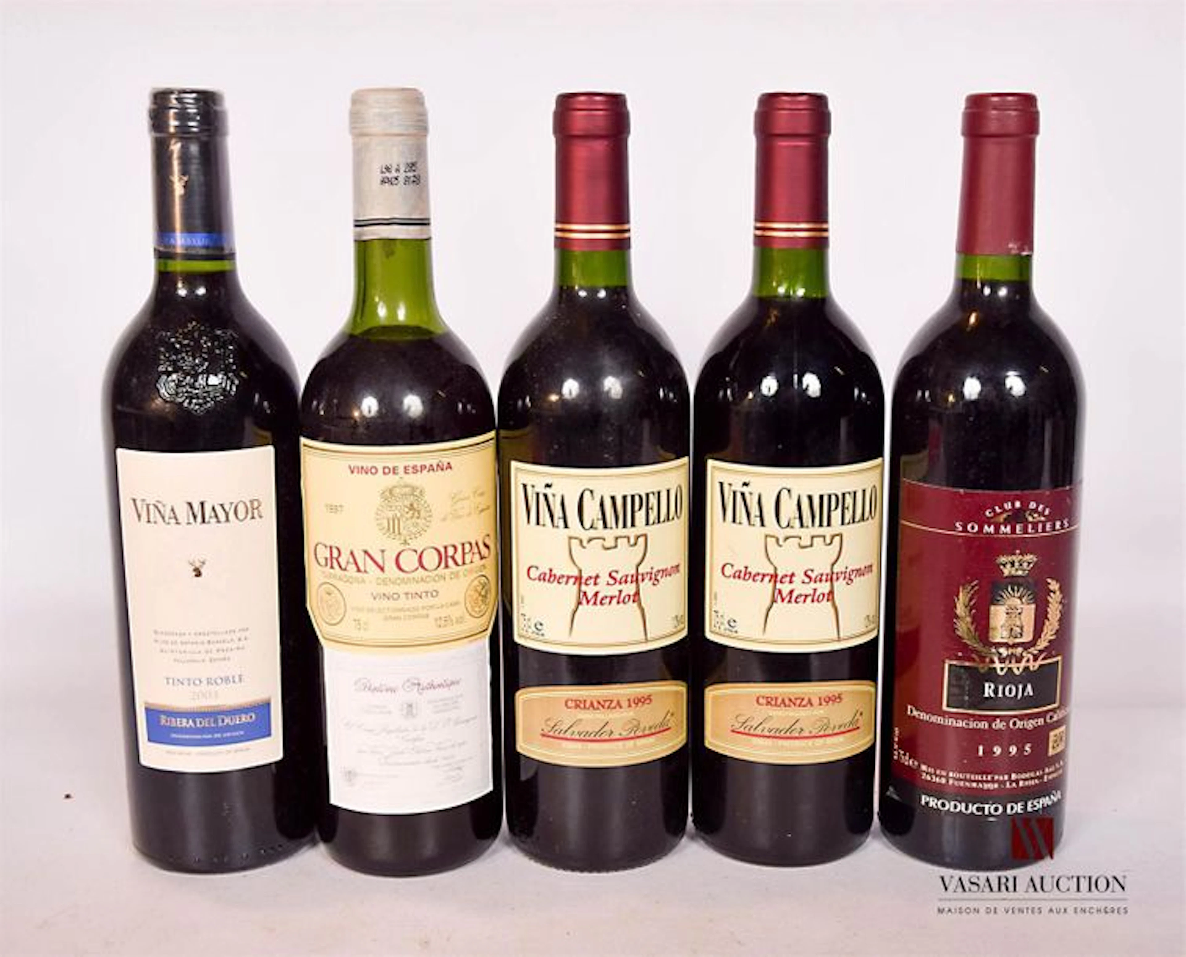 Lot de 5 bouteilles de vins d'Espagne comprenant…