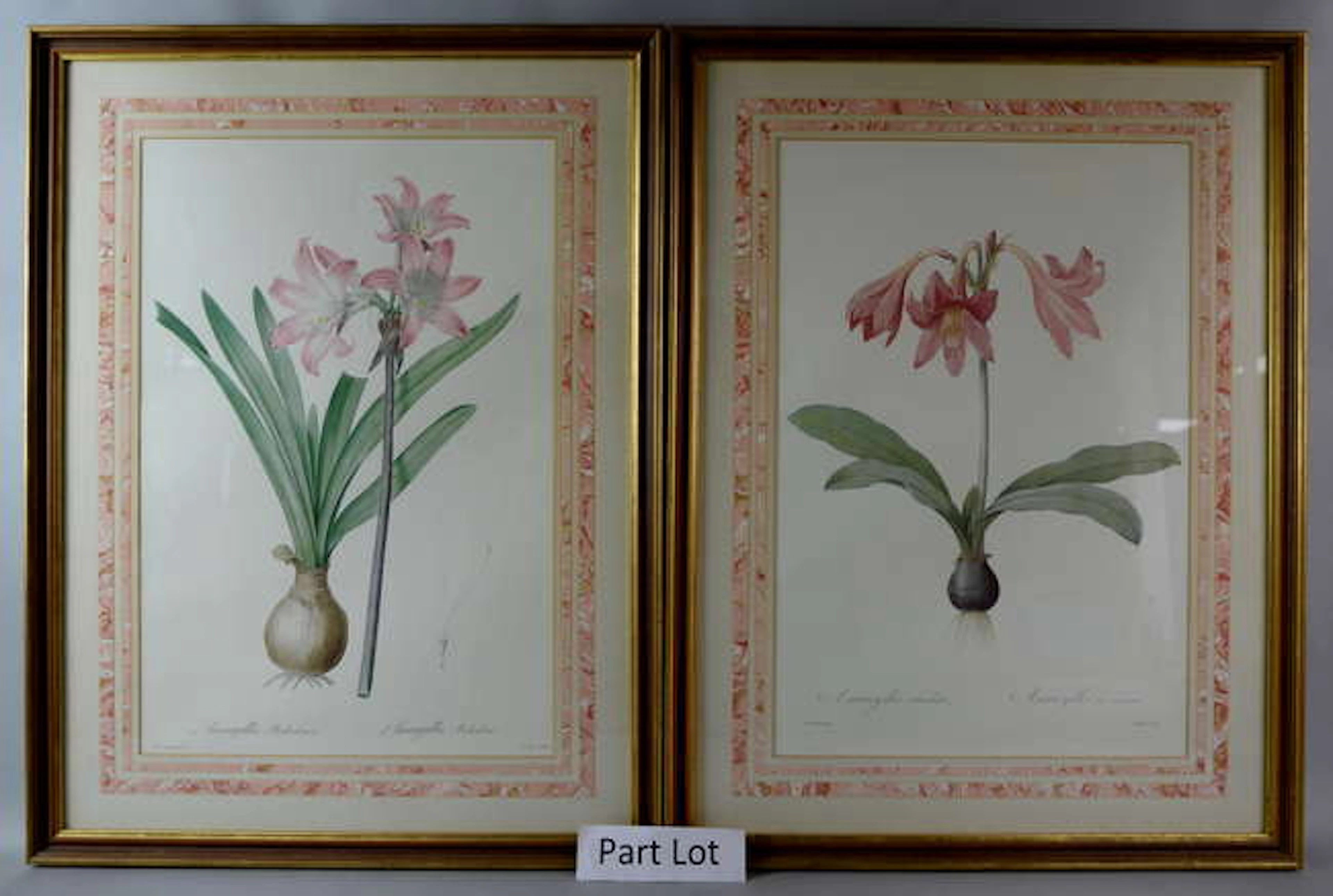 AMENDED DESCRIPTION Views of Hong Kong and Singapore