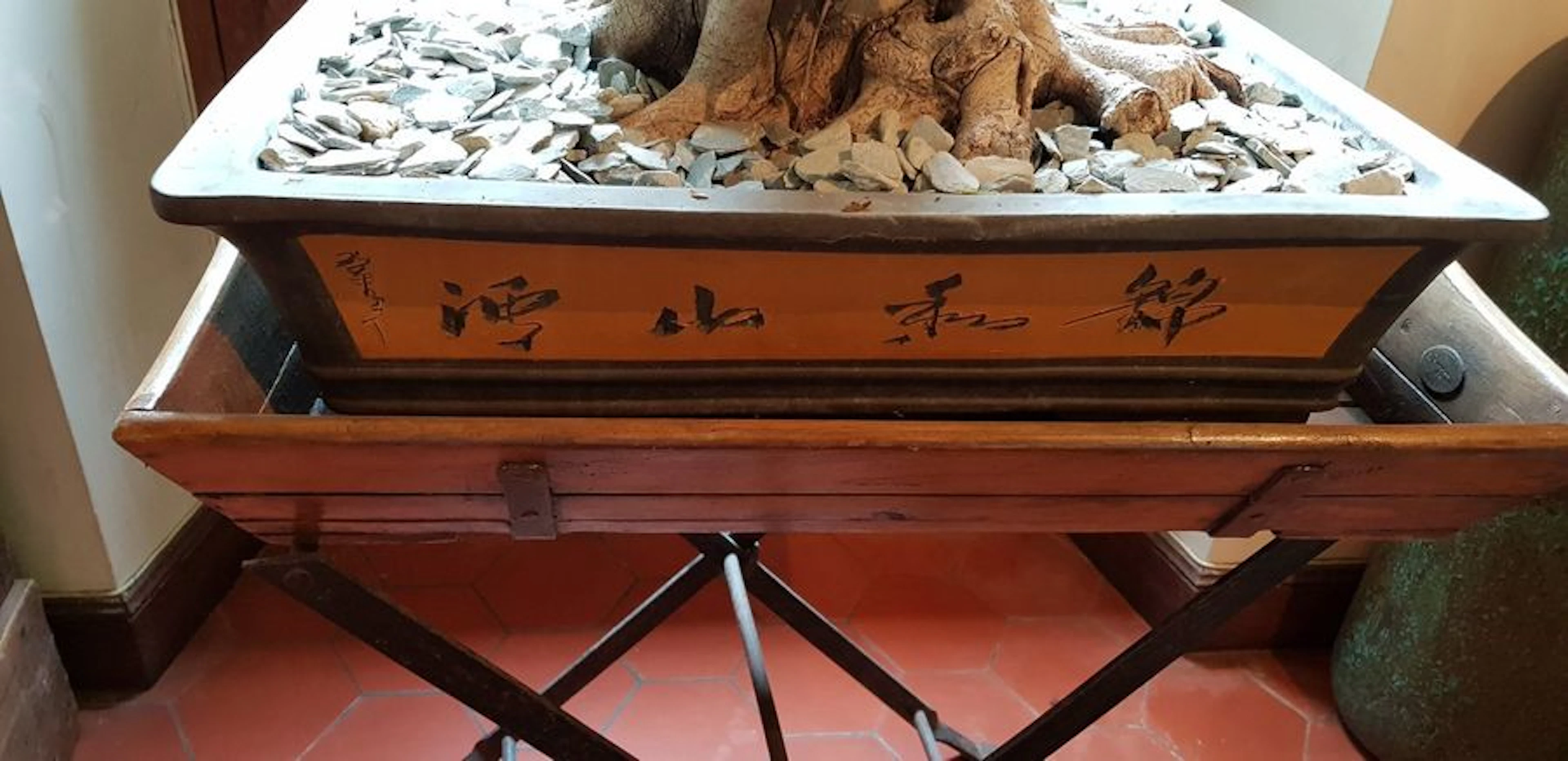 Décor contemporain. « Bonzaï » Réalisé…