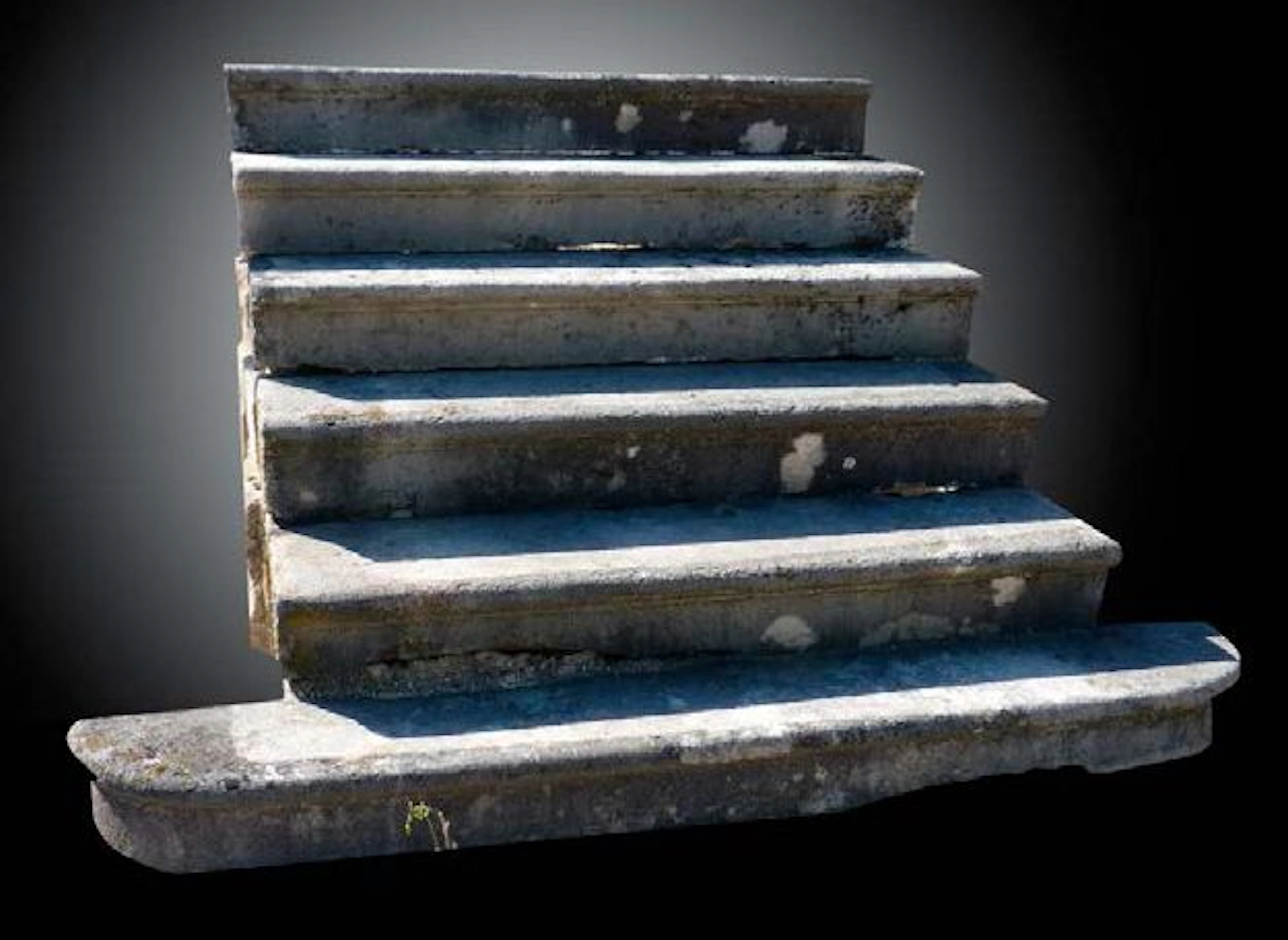 Escalier d'entrée avec marches moulurées et la première extrémité arrondie