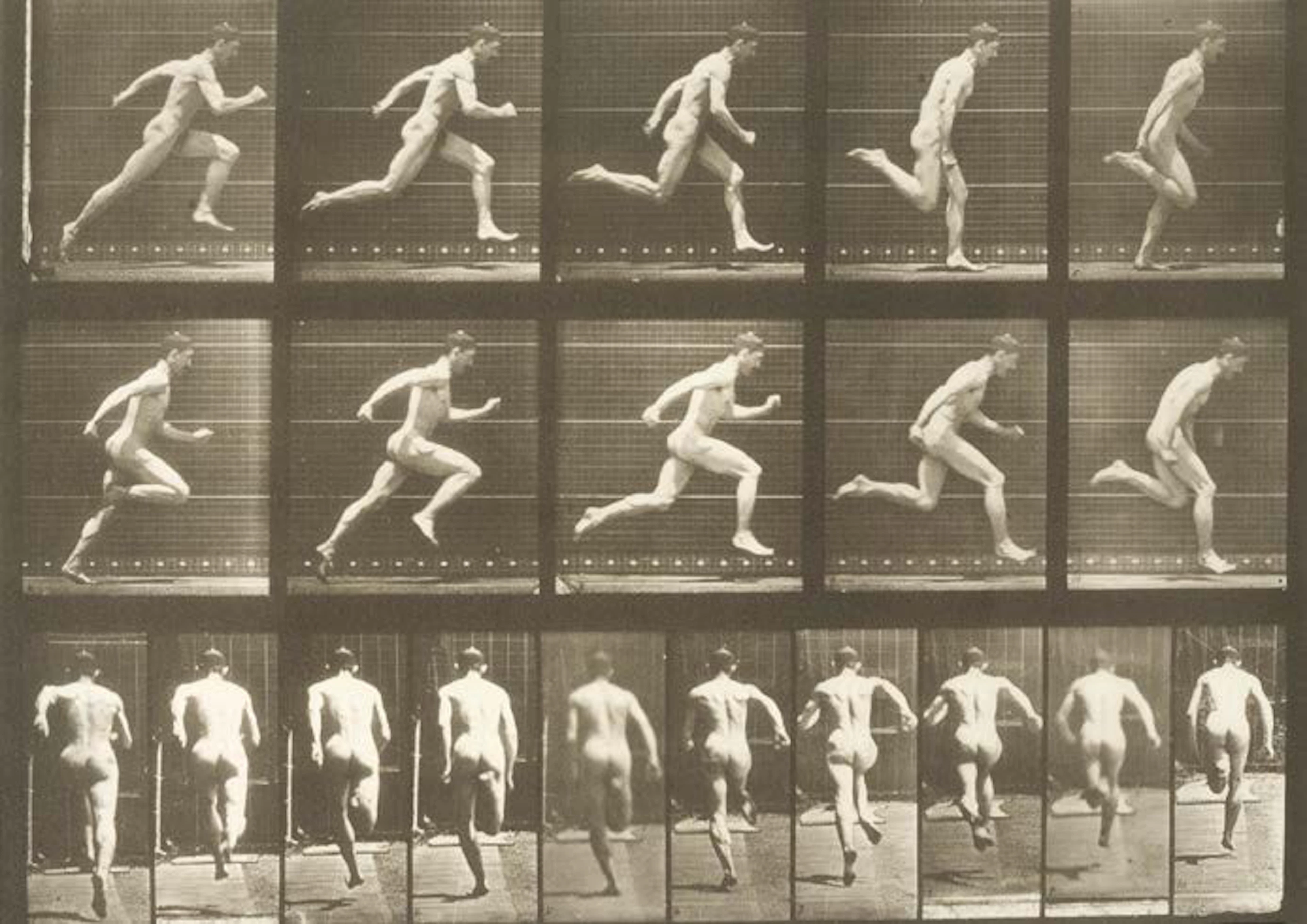 Eadweard MUYBRIDGE (1830-1904)