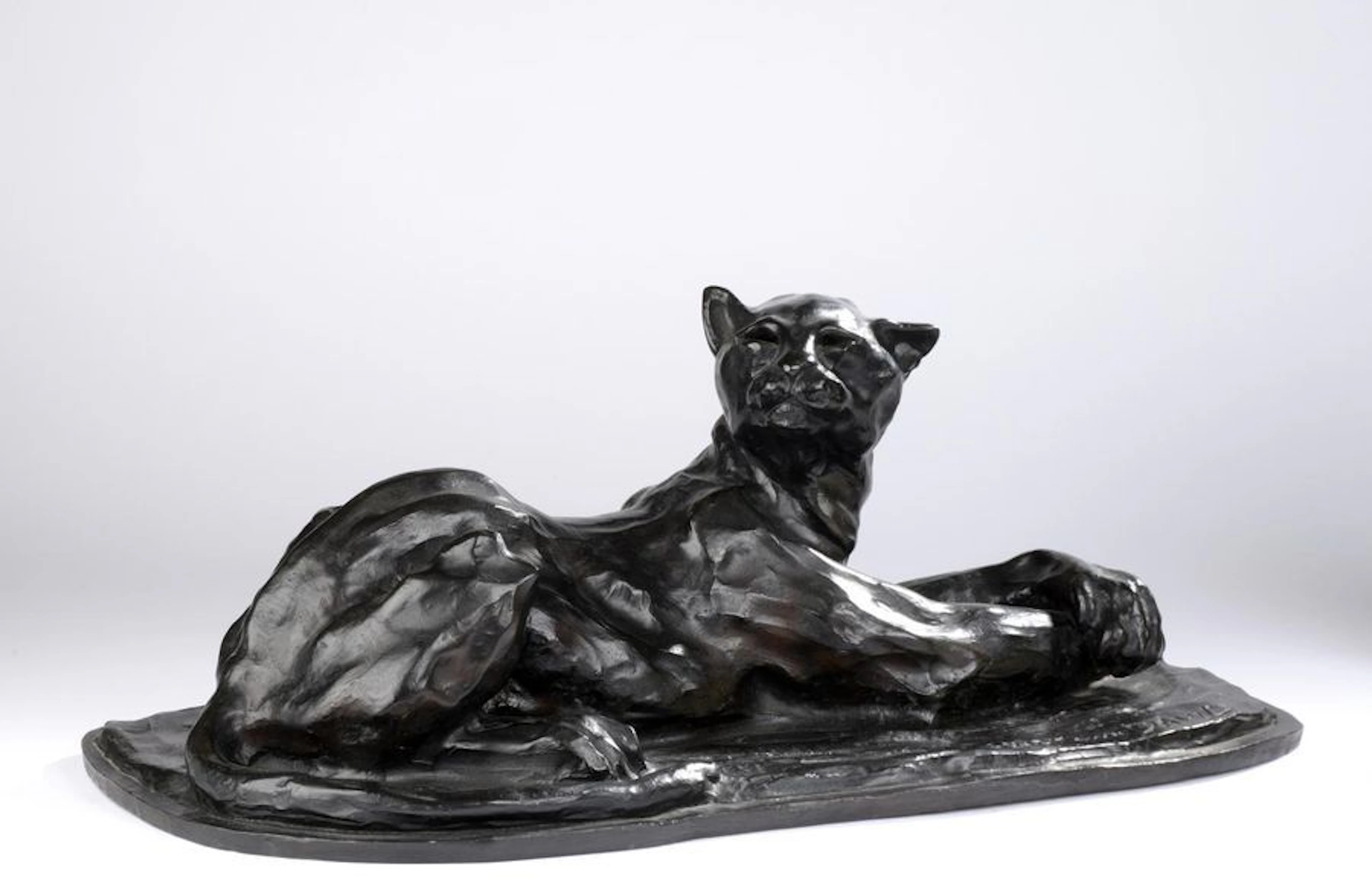 José Maria DAVID (1944-2015). Panthère couchée....